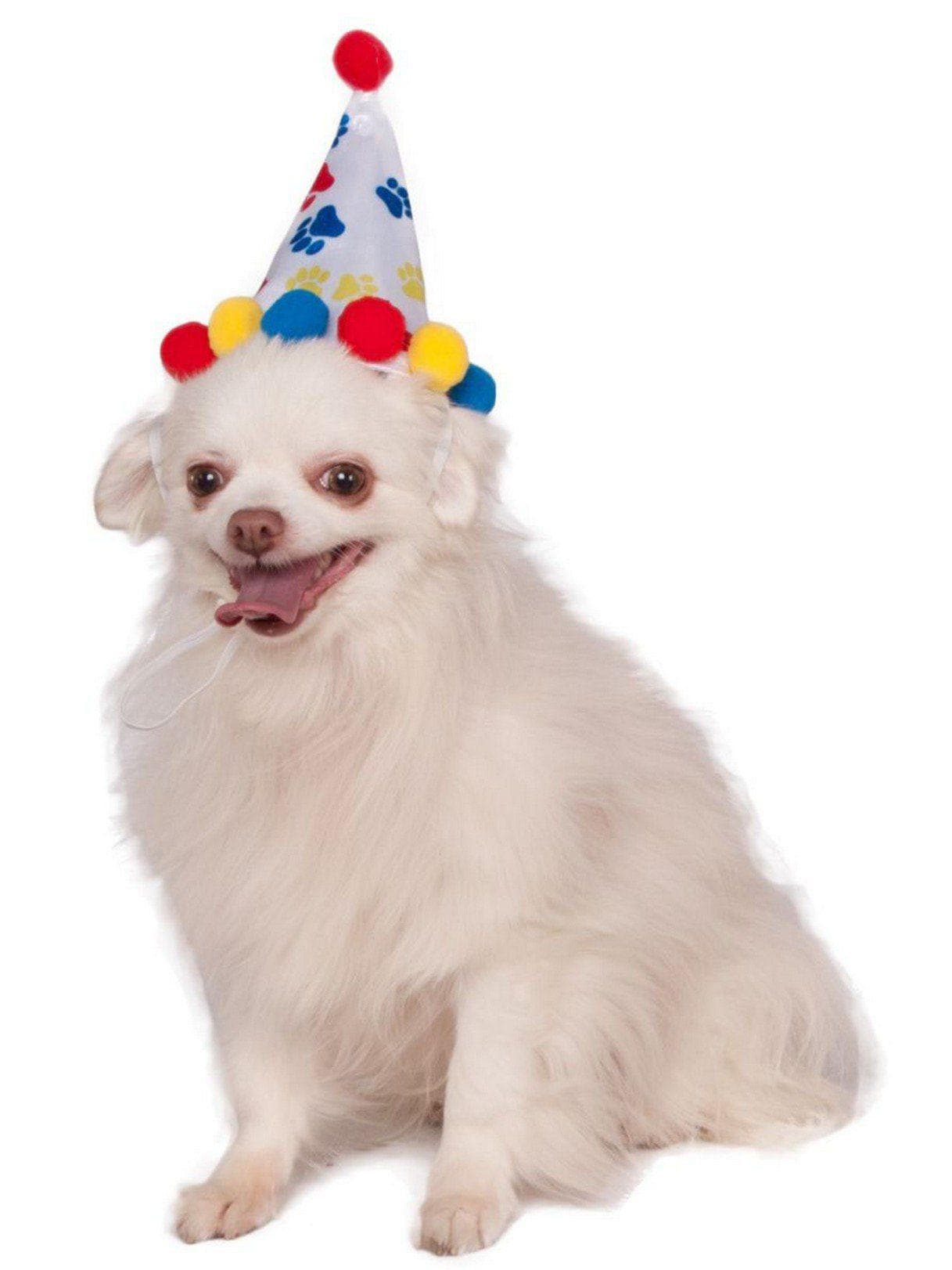 Pet Pawprint B-day Hat - costumes.com