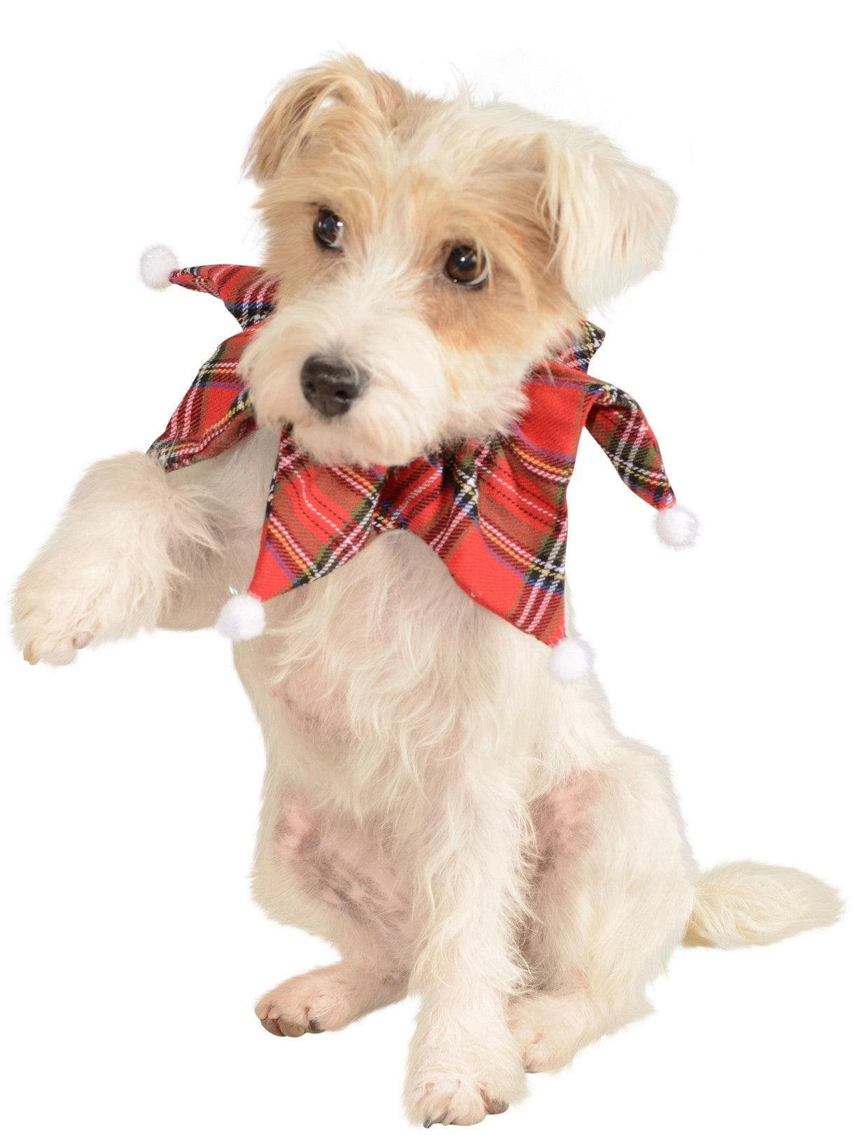 Pet Christmas Plaid Collar - costumes.com