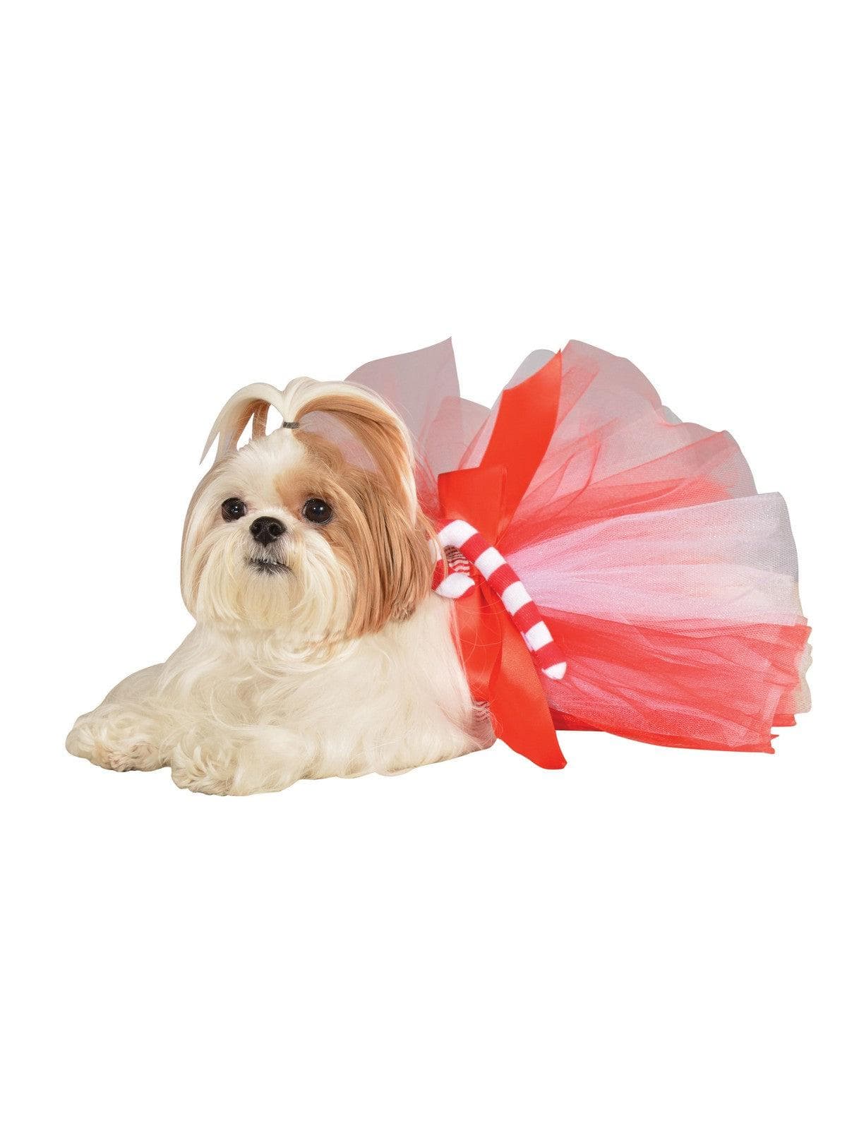 Pet Candy Cane Xmas Tutu - costumes.com
