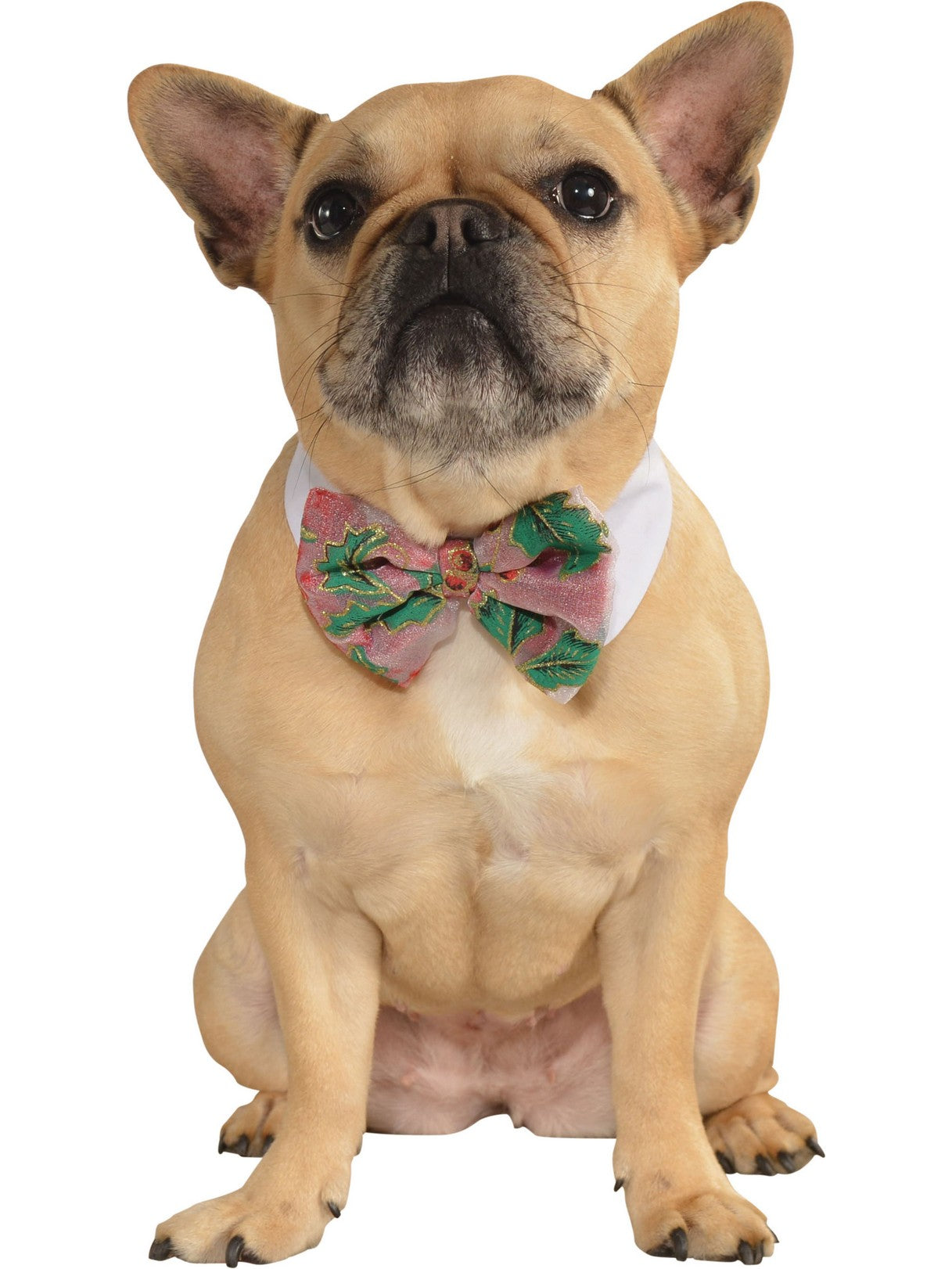 Pet Christmas Bowtie - costumes.com