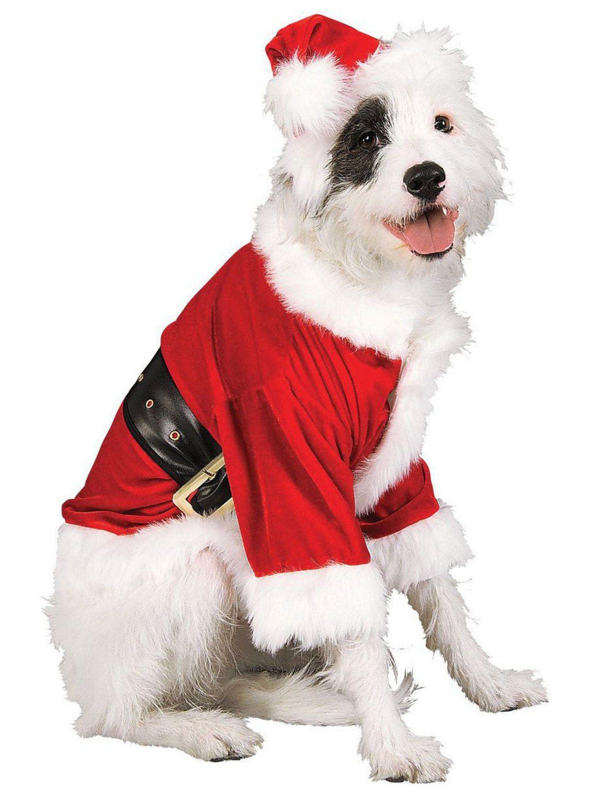 Santa Claus Pet Costume - costumes.com