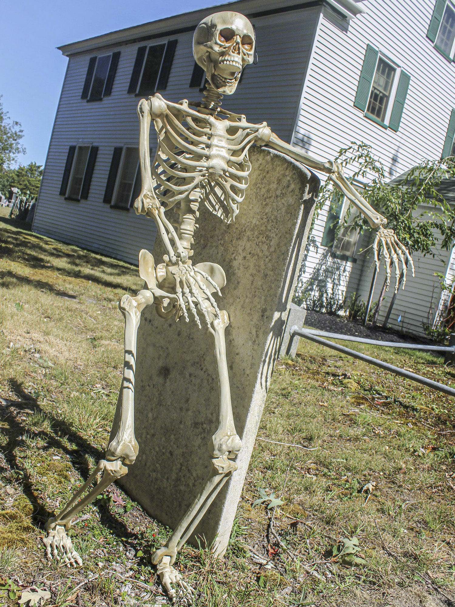 60-inch Posable Skeleton - costumes.com