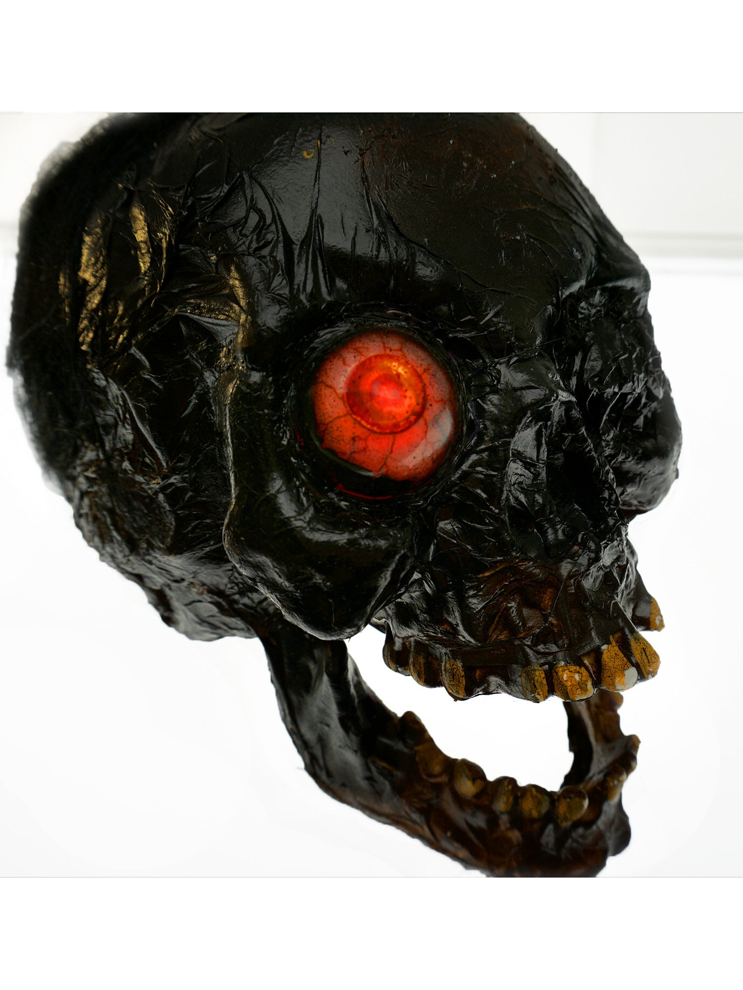 Creepy Rotten Head Decoration - costumes.com