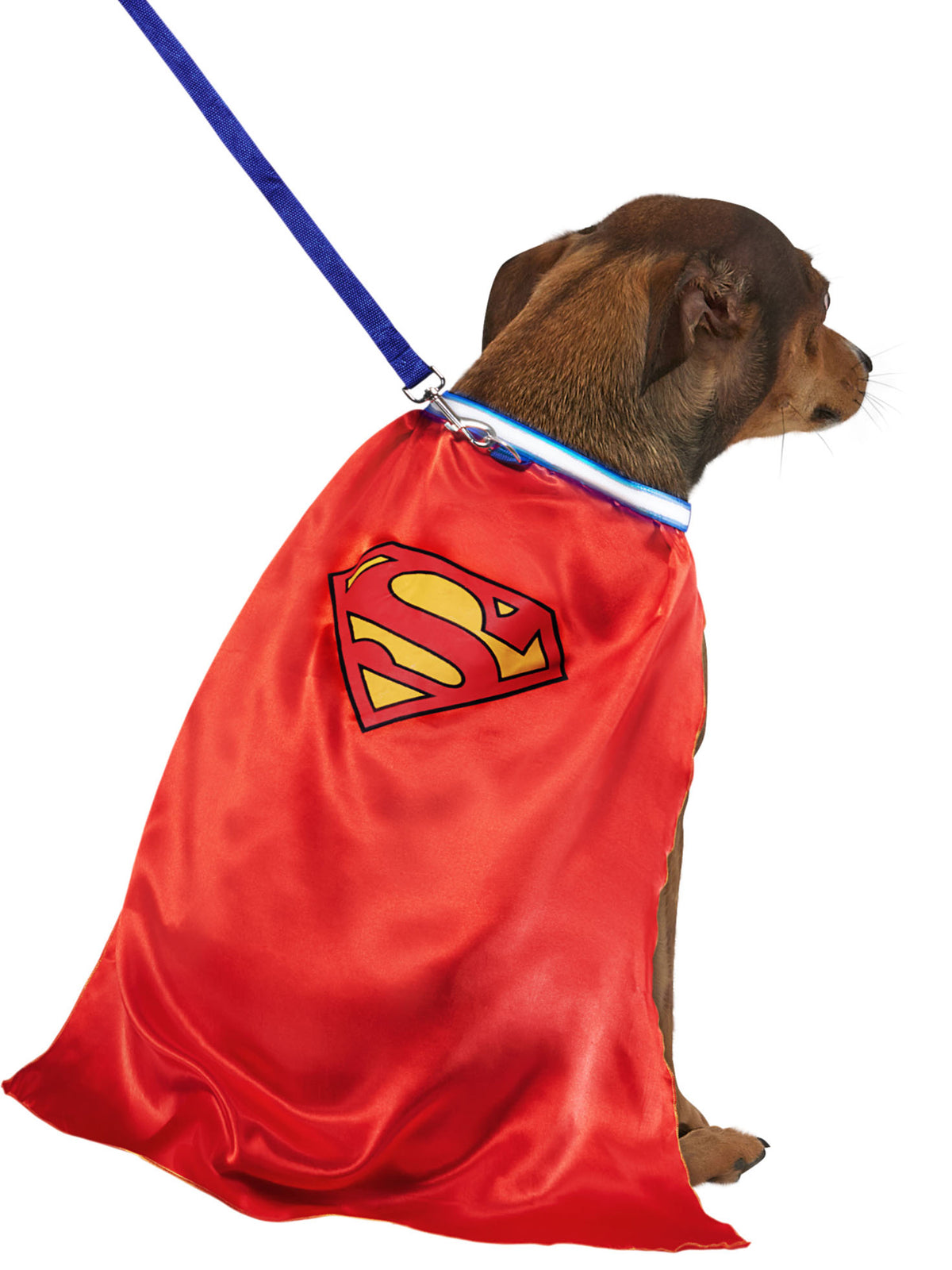 Superman Pet Cape and Light Up Collar with Leash - costumes.com