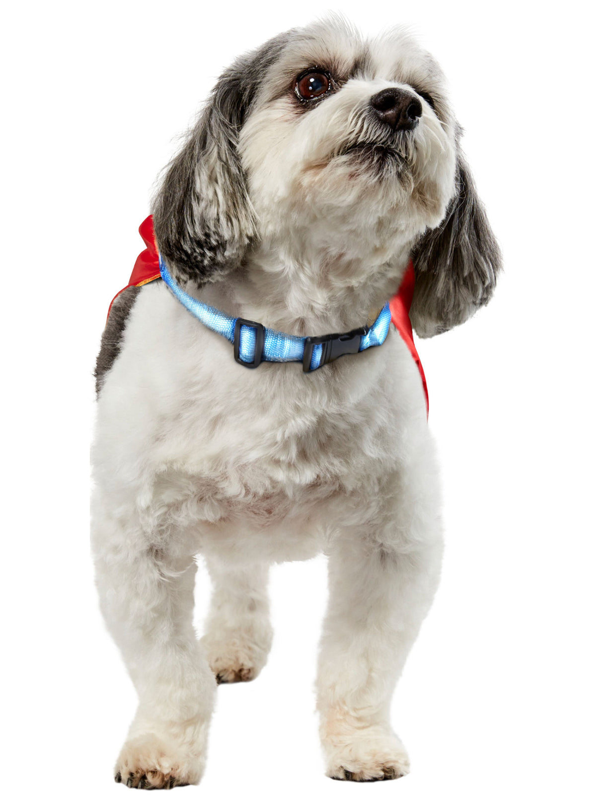 Superman Pet Cape and Light Up Collar with Leash - costumes.com