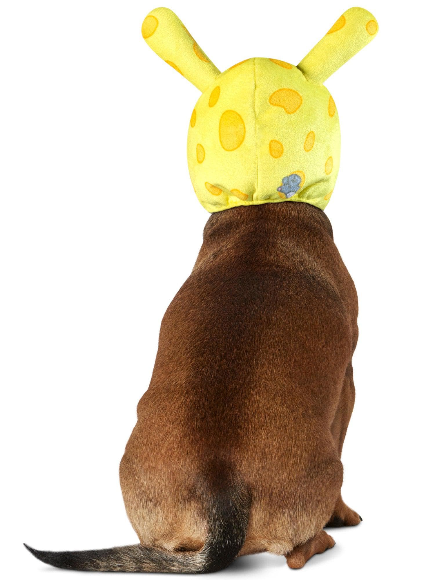 Dunny Cheese Head Pet Headpiece by Kidrobot - costumes.com