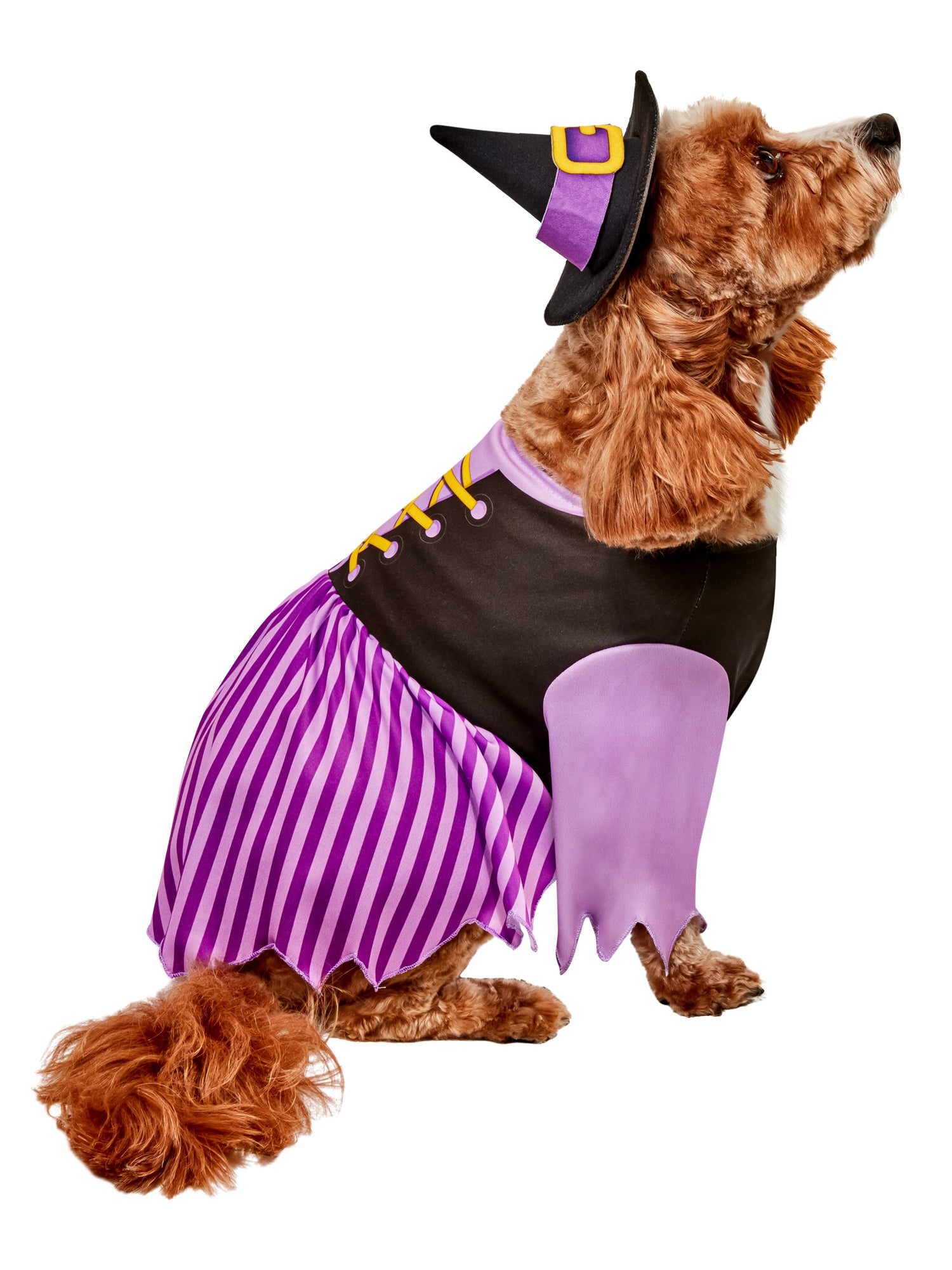 Purple Witch Pet Costume - costumes.com