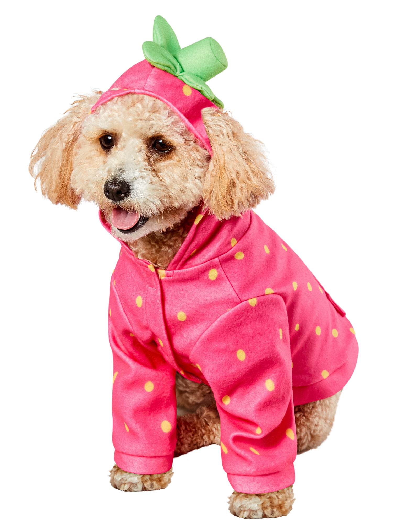 Sweet Strawberry Hoodie Pet Costume - costumes.com