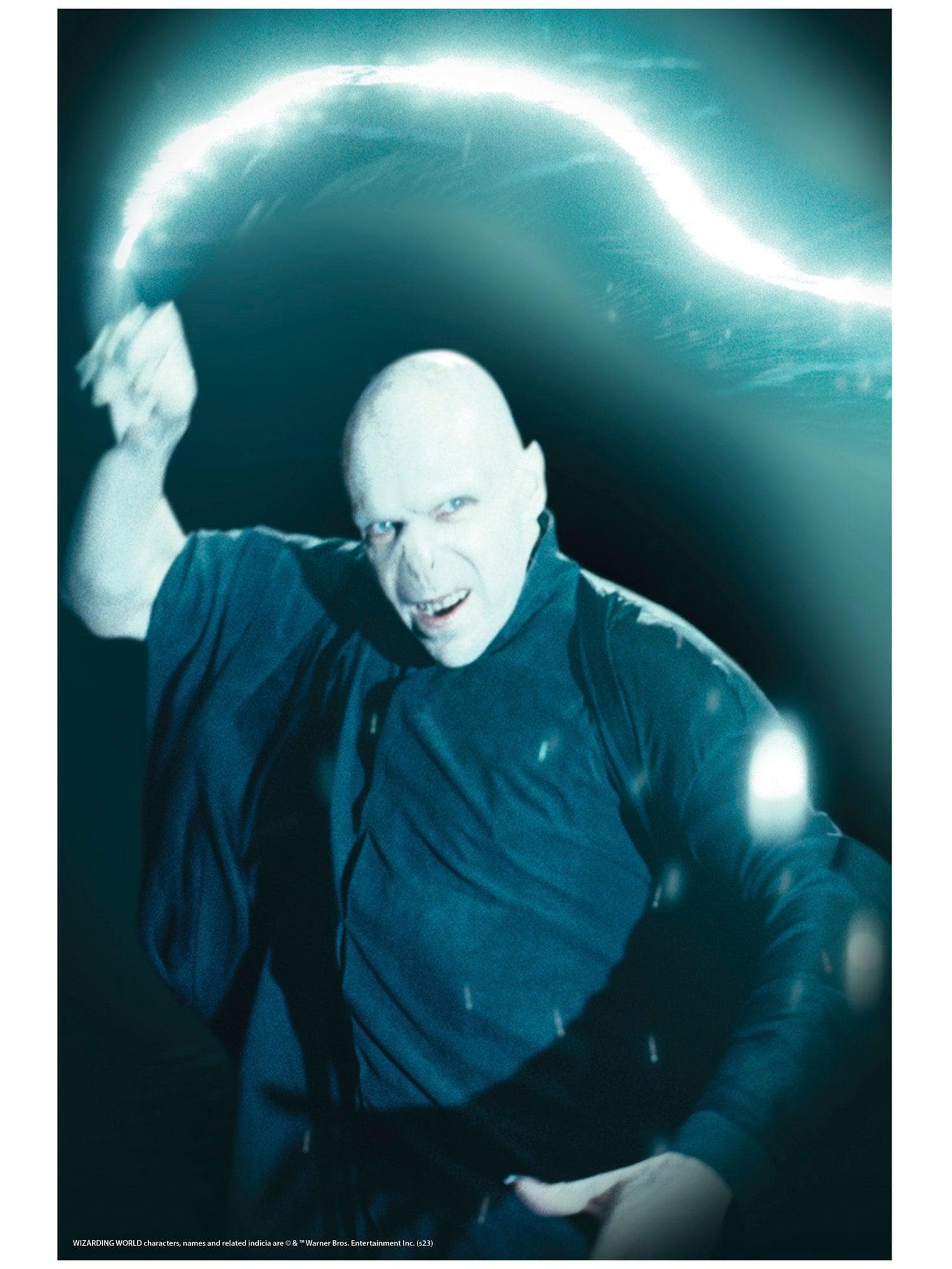 Harry Potter Voldemort Window Cover Decoration - costumes.com
