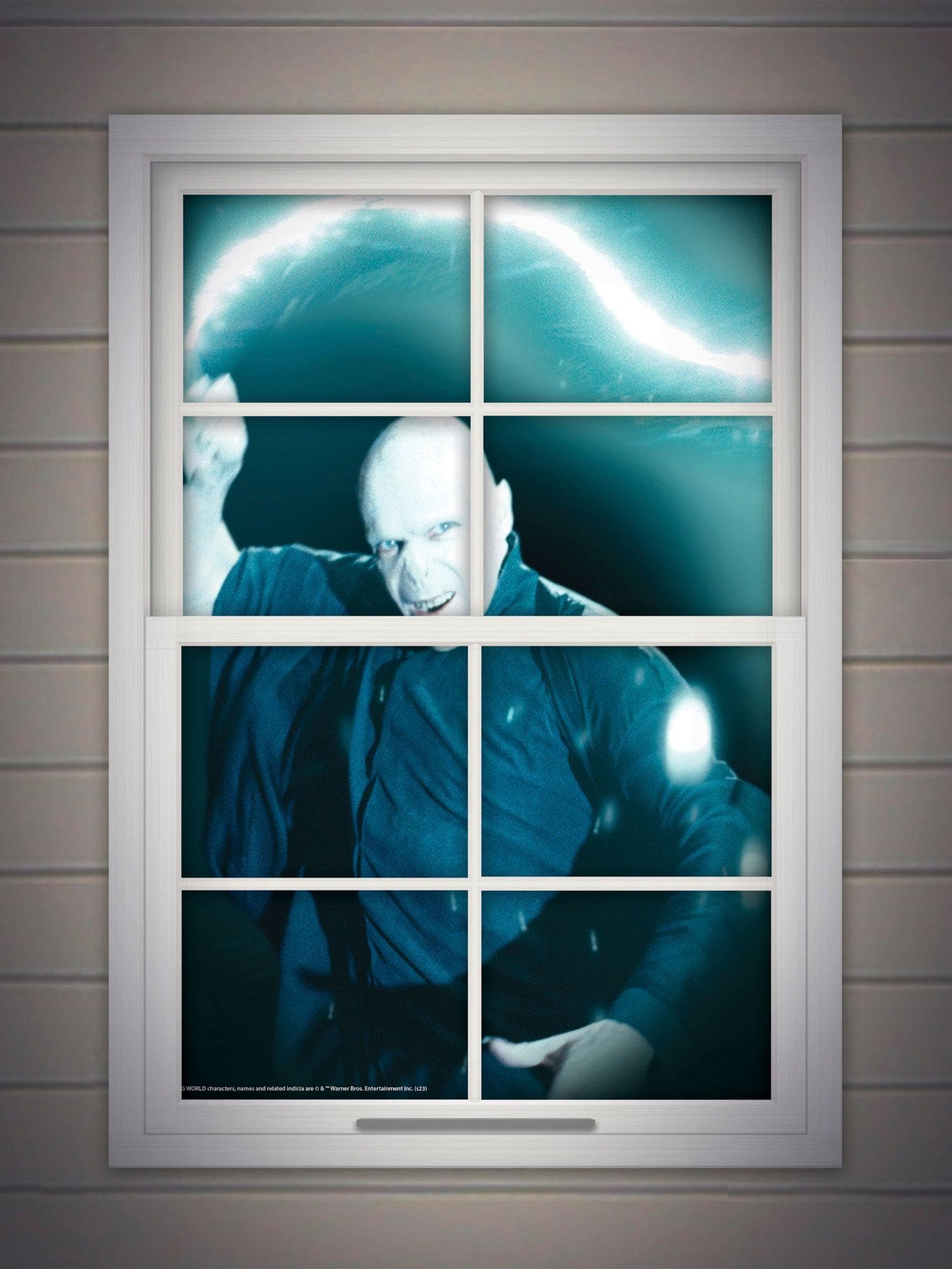 Harry Potter Voldemort Window Cover Decoration - costumes.com