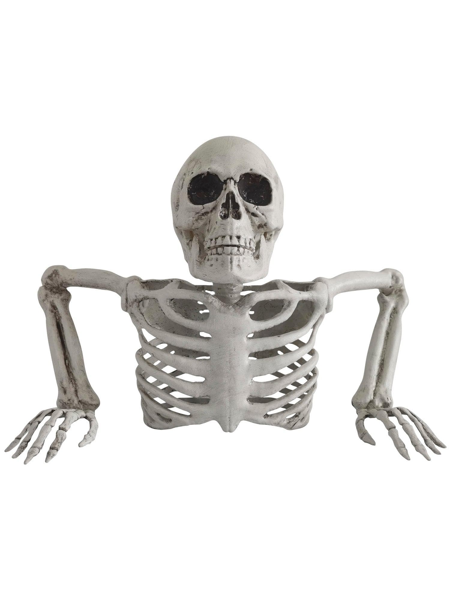 15.7 Inch Groundbreaker Skeleton Prop - costumes.com