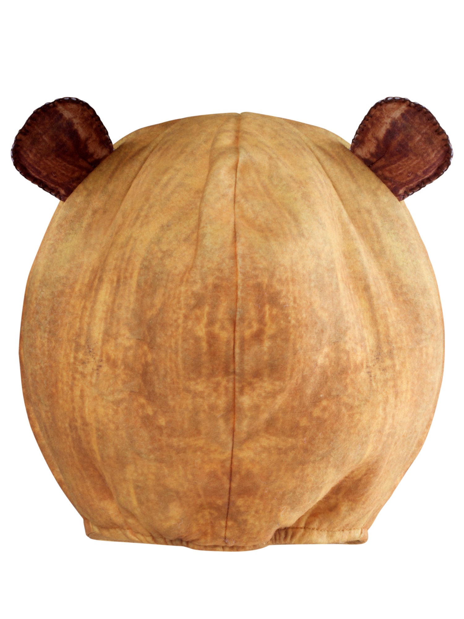 Brown Bear, Brown Bear, What Do You See Costume for Babies and Toddlers - costumes.com