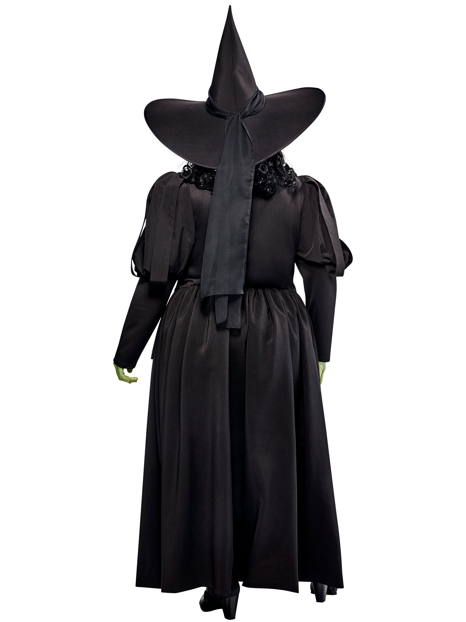 Women's Plus Size The Wizard of Oz Wicked Witch Costume - costumes.com