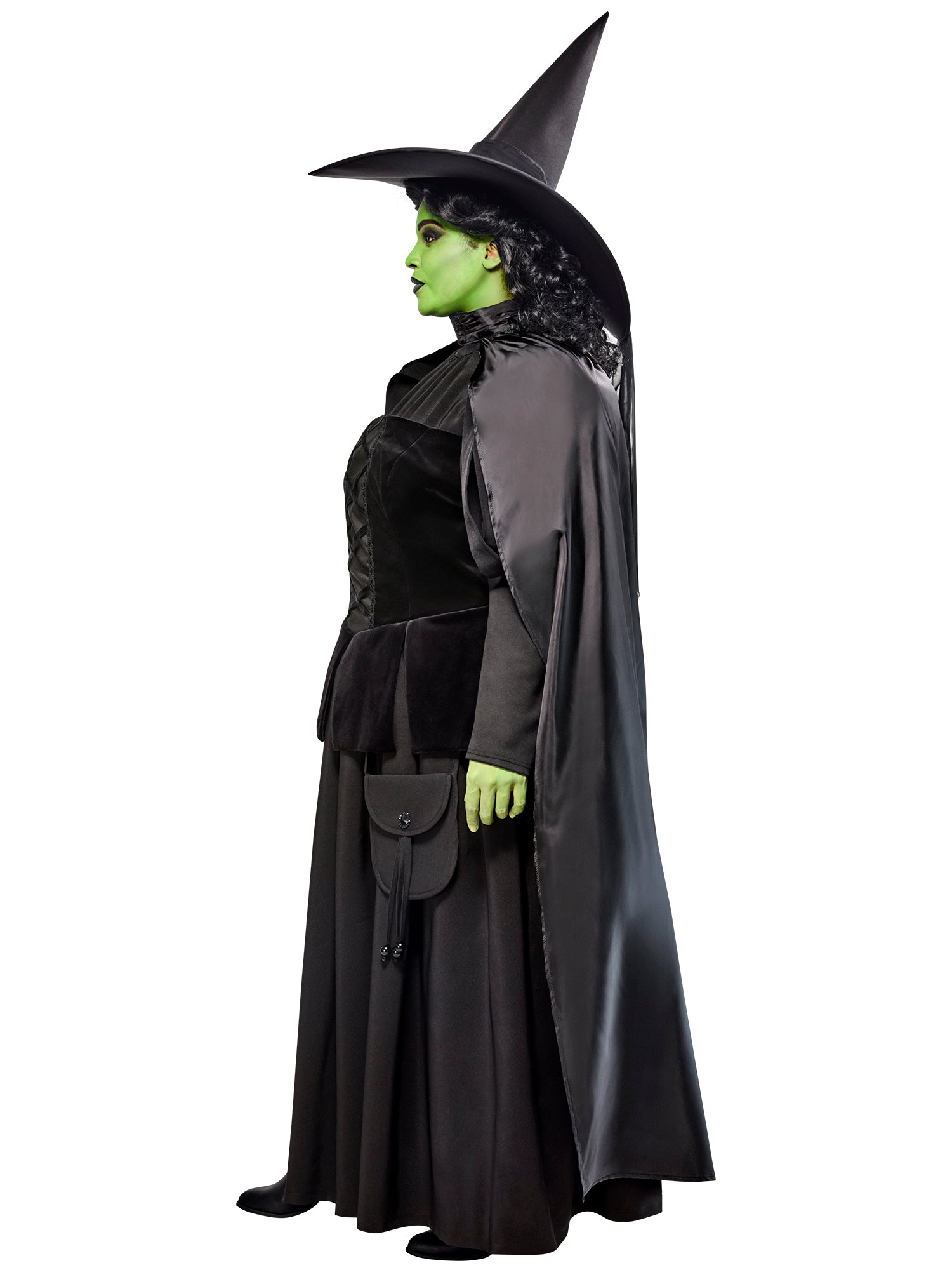 Women's Plus Size The Wizard of Oz Wicked Witch Costume - costumes.com