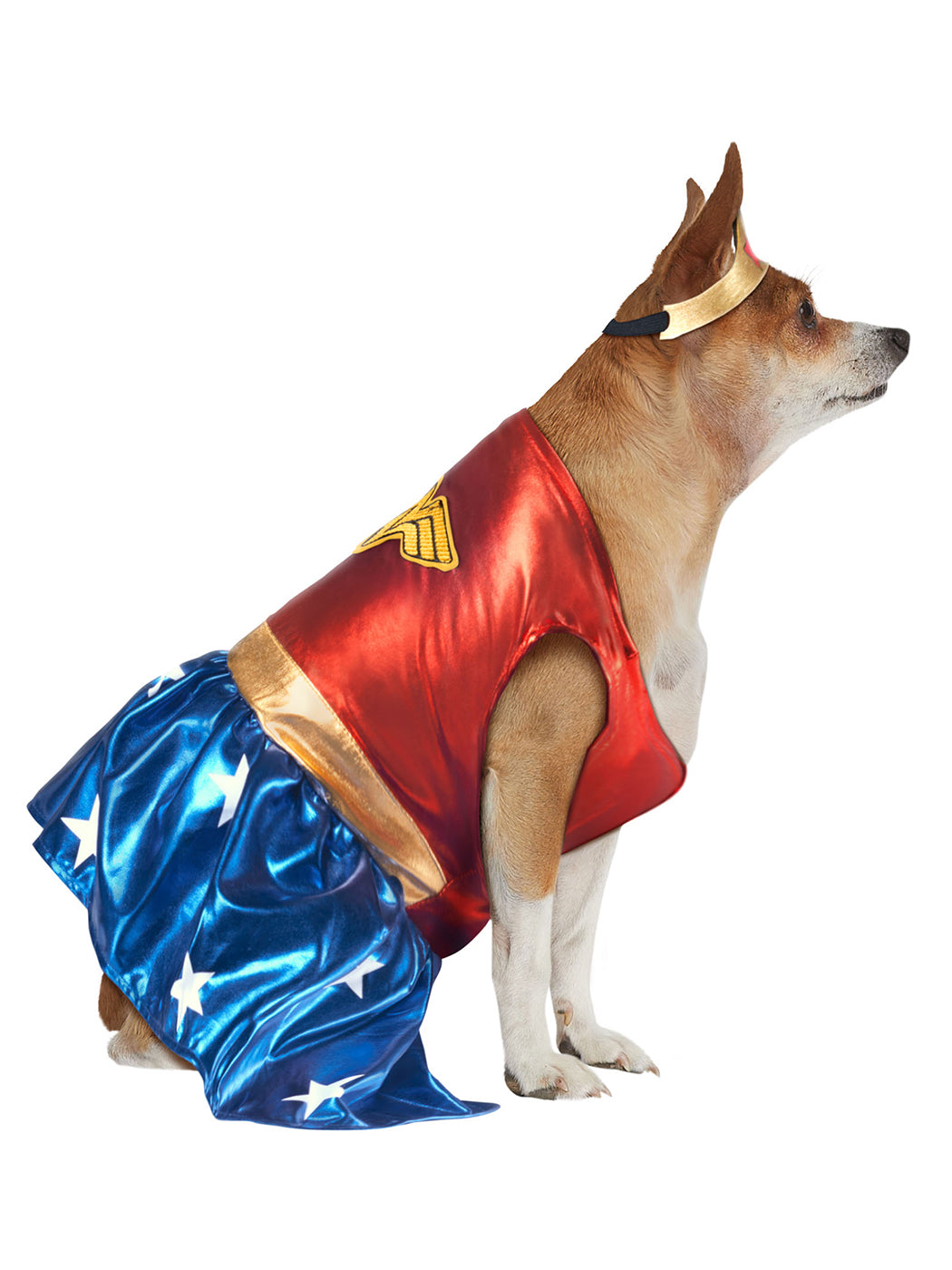 DC Comics Wonder Woman Big Dog Pet Costume - Classic - costumes.com