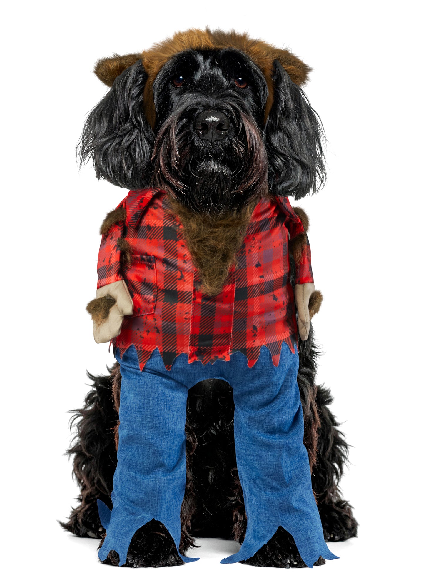 Wicked Werewolf Walking Pet Costume - costumes.com