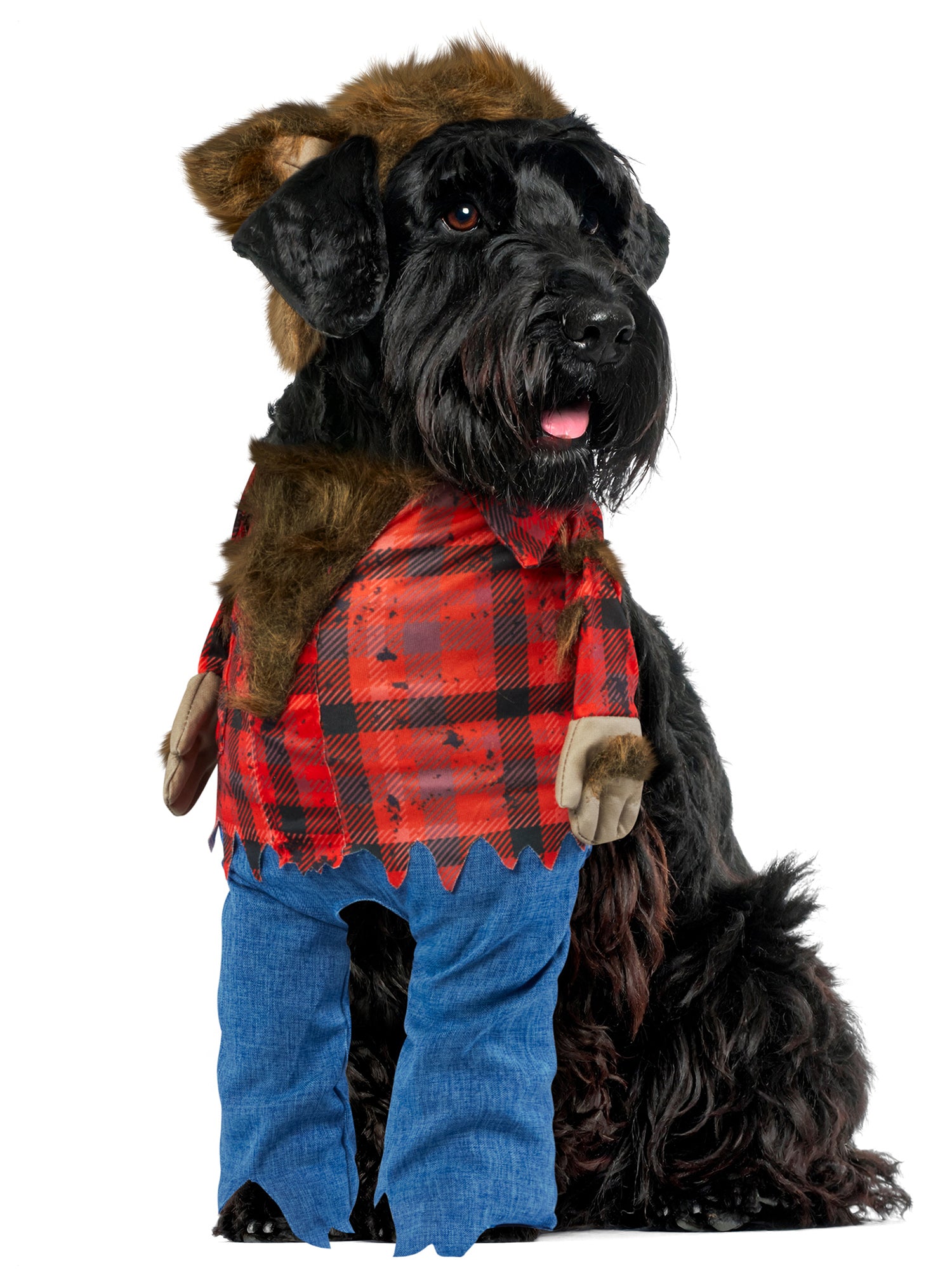 Wicked Werewolf Walking Pet Costume - costumes.com