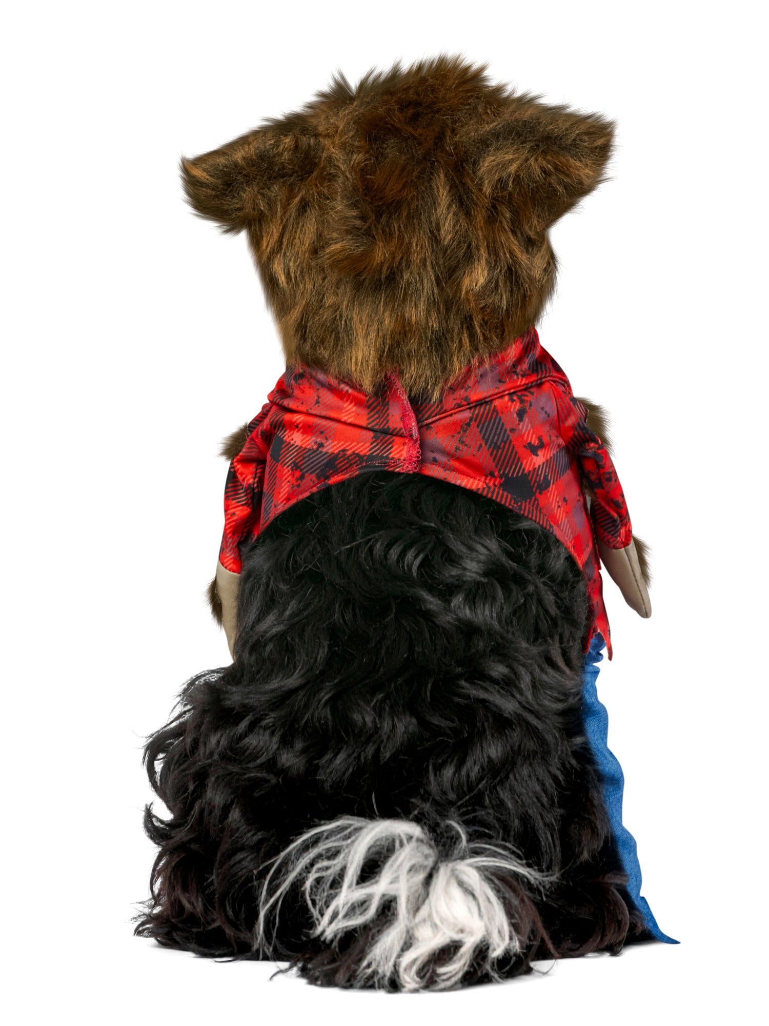 Wicked Werewolf Walking Pet Costume - costumes.com