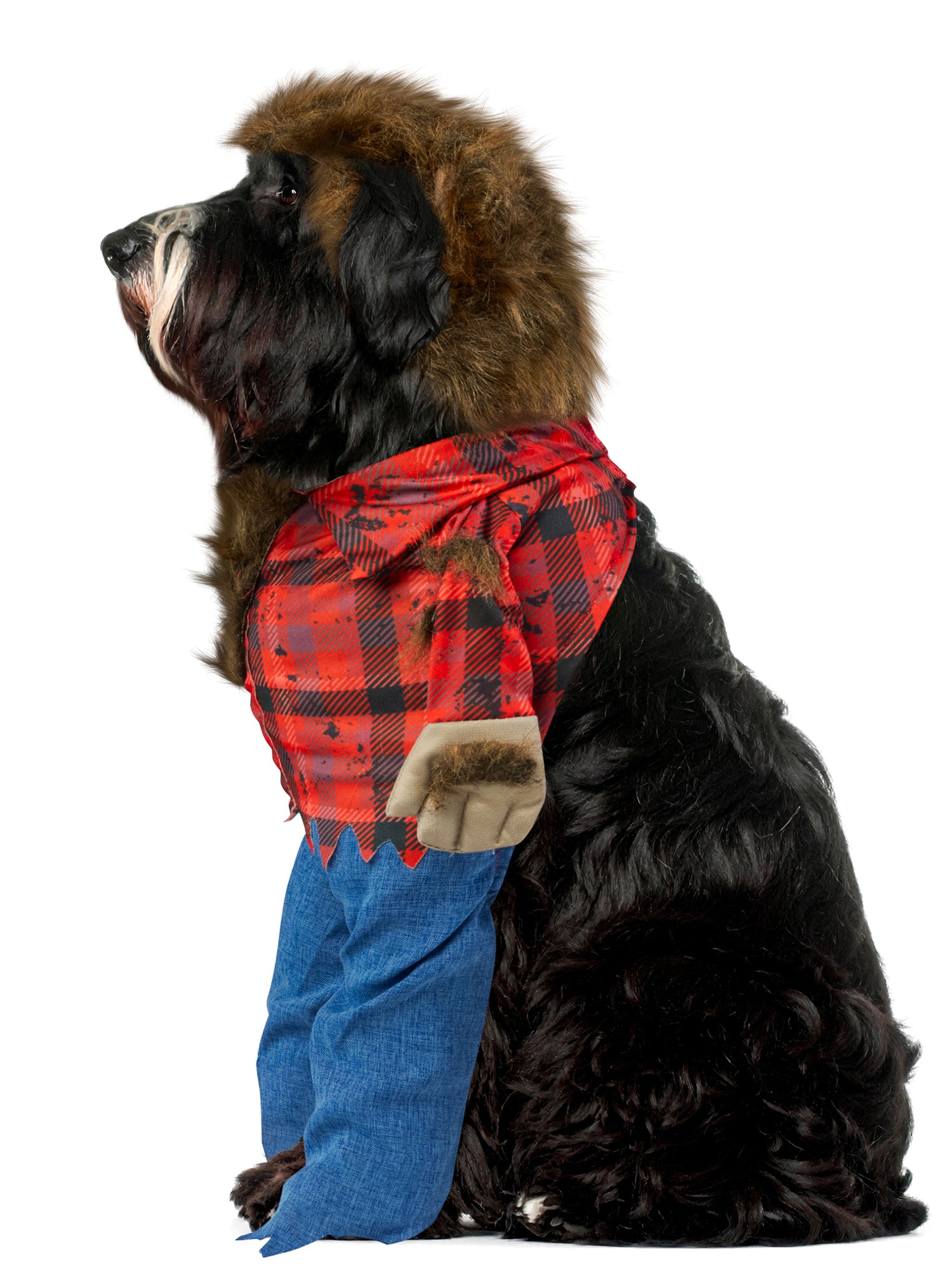 Wicked Werewolf Walking Pet Costume - costumes.com