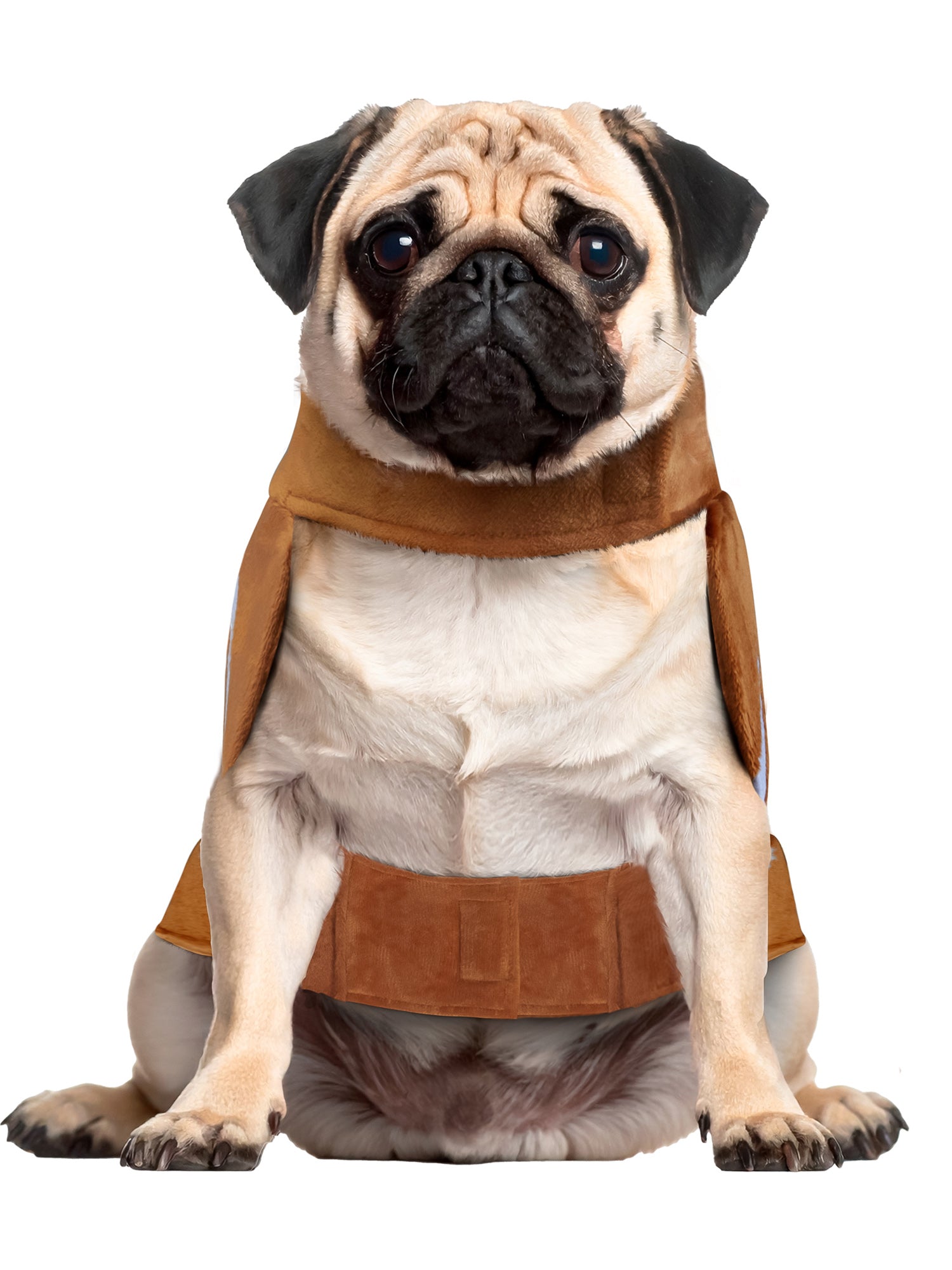 Football Fan Pet Costume - costumes.com