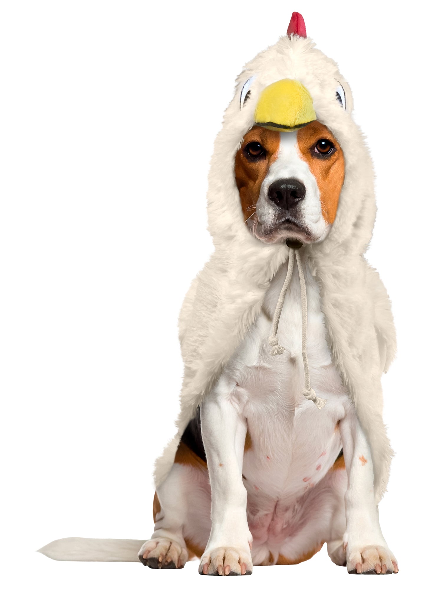 Clucky Chicken Pet Costume - costumes.com