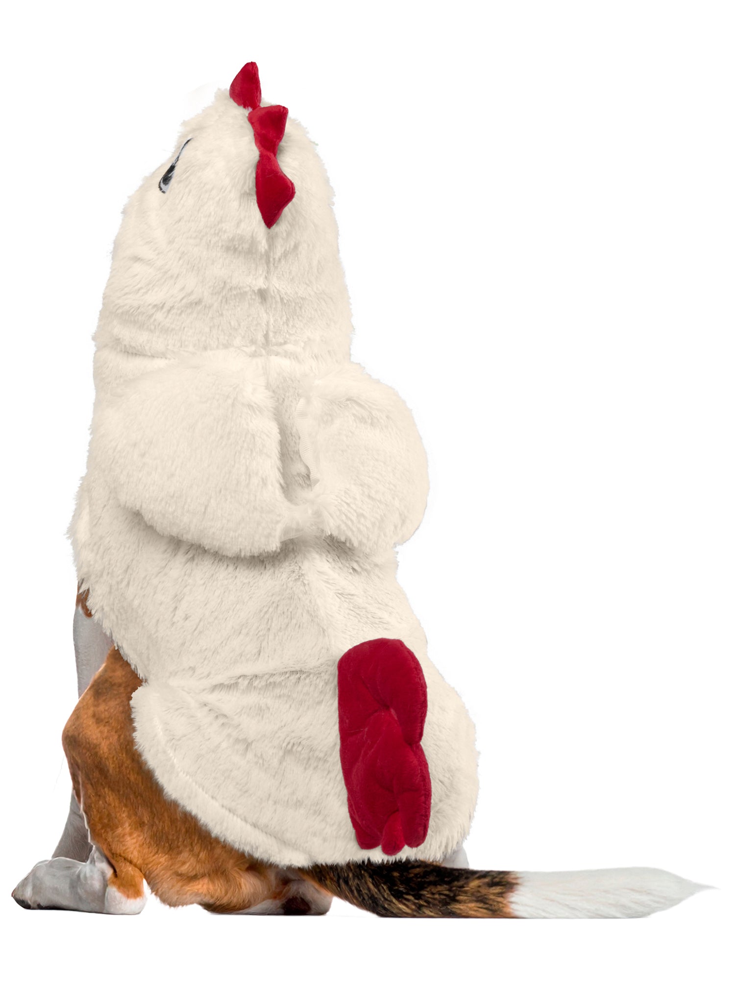 Clucky Chicken Pet Costume - costumes.com