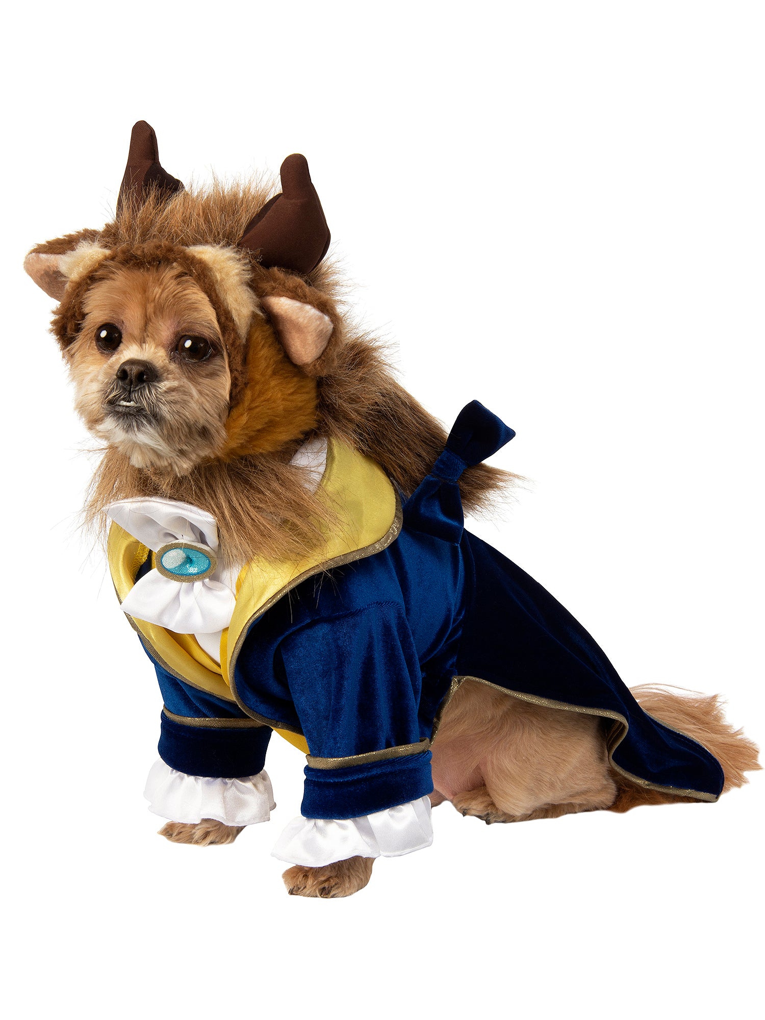 Beauty and the Beast Pet Costume - costumes.com