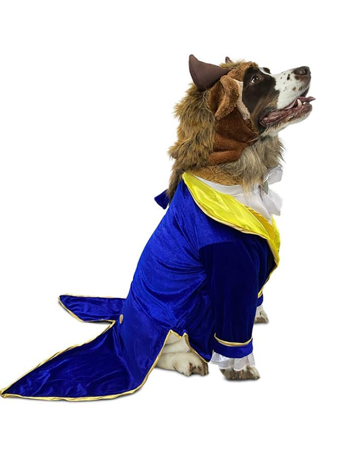 Beauty and the Beast Pet Costume - costumes.com