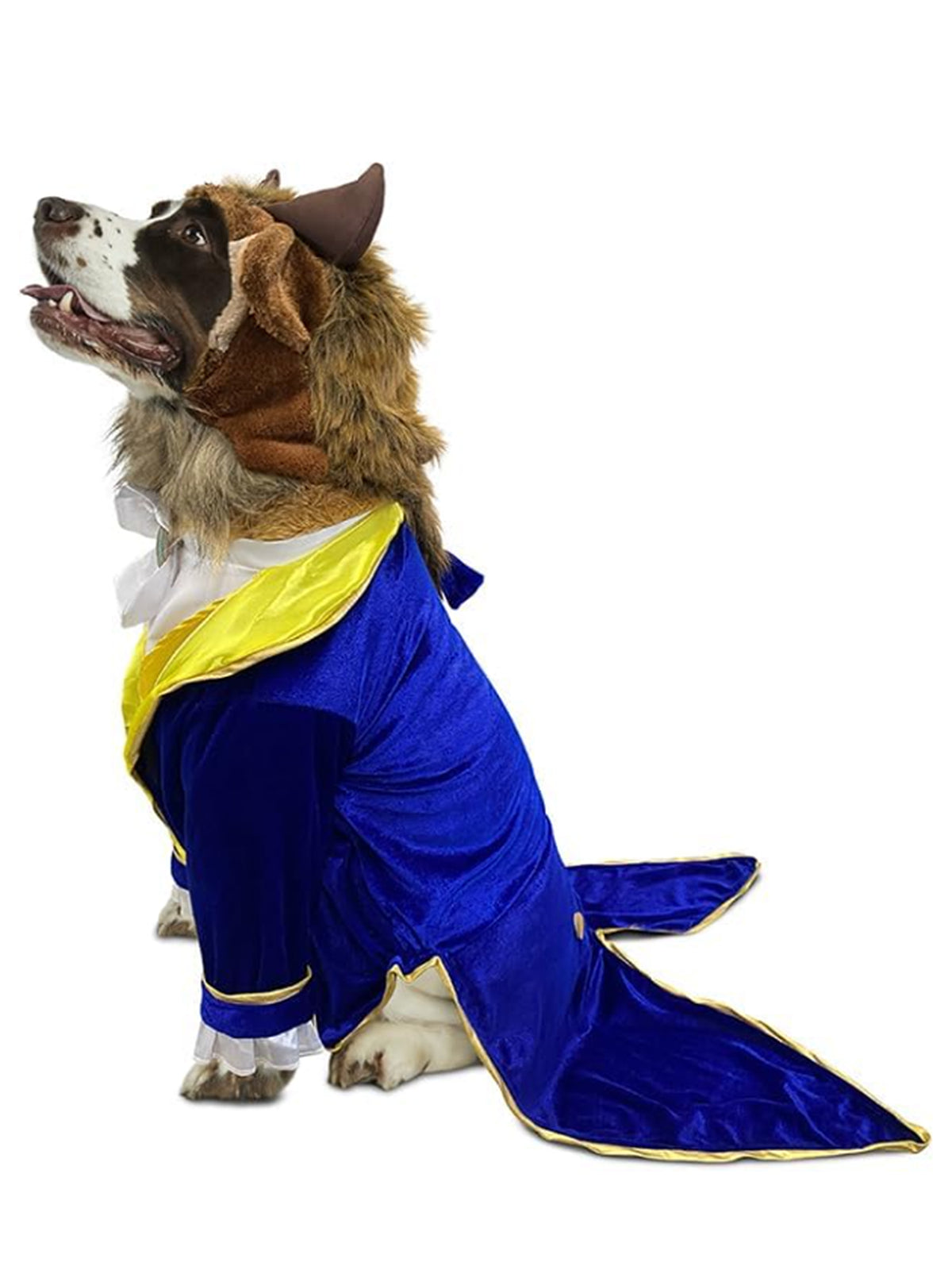 Beauty and the Beast Pet Costume - costumes.com
