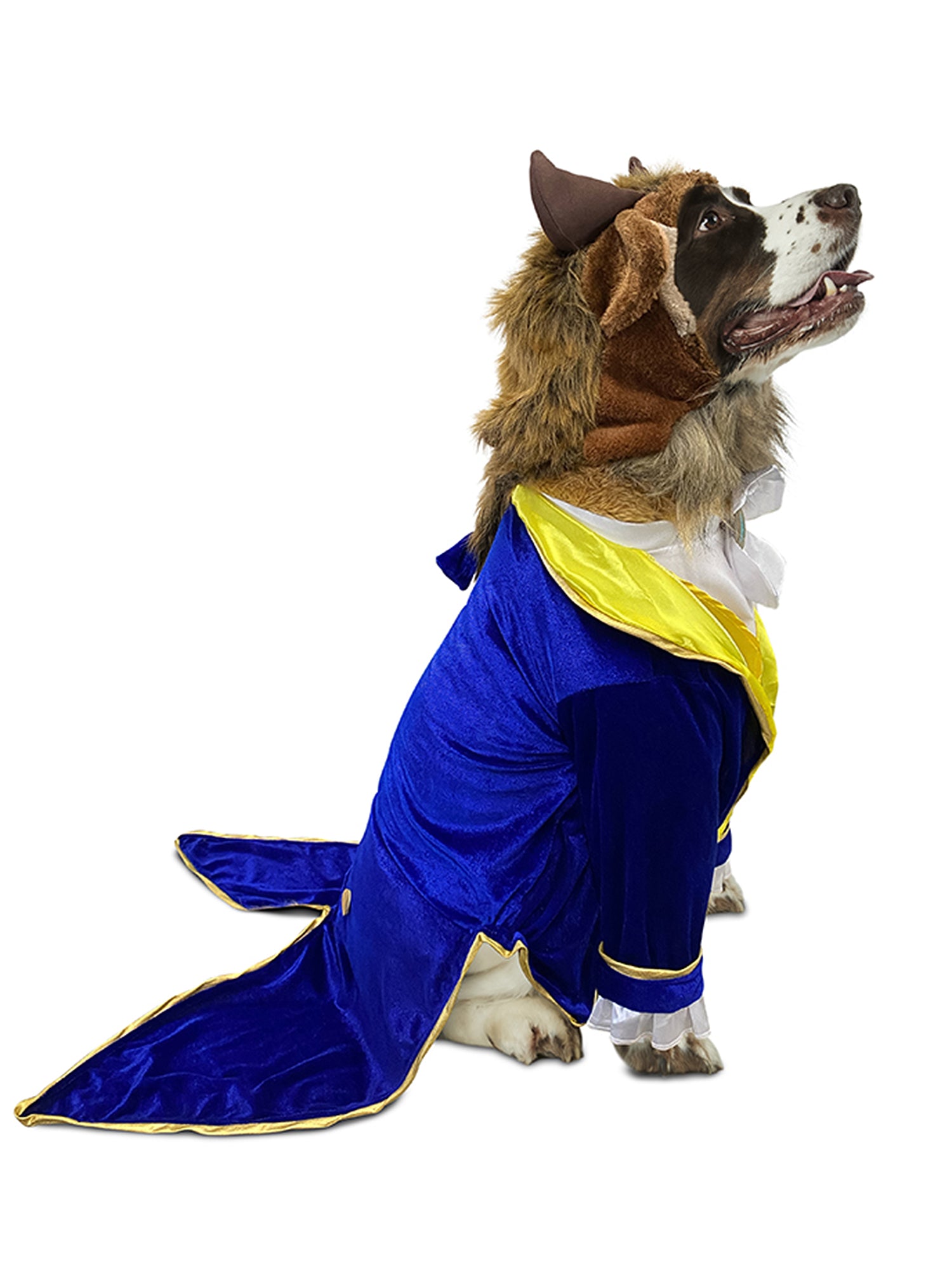 Beauty and the Beast Big Dog Pet Costume - costumes.com