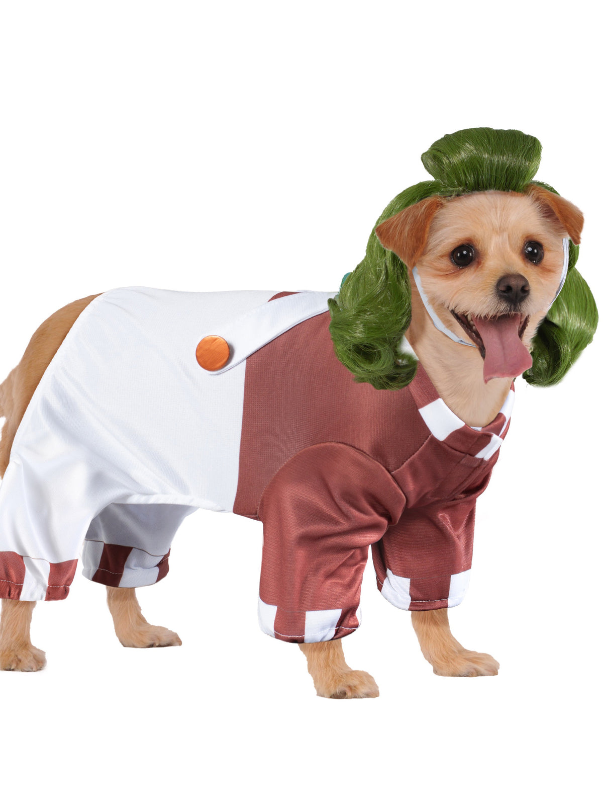 Willy Wonka Oompa Loompa Pet Costume - costumes.com