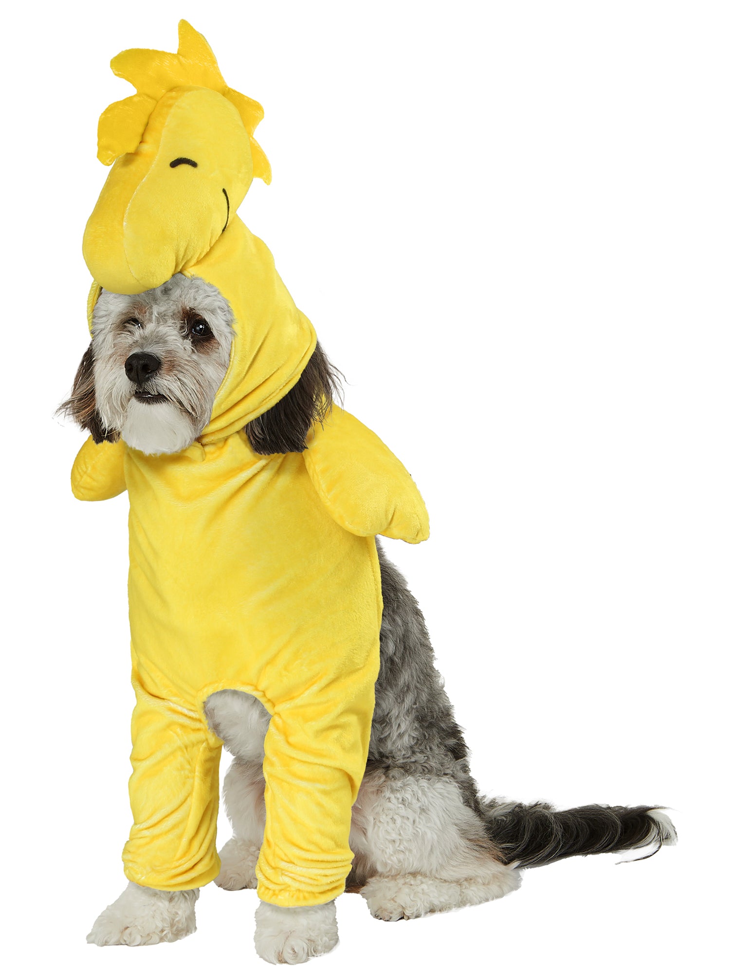 Peanuts Woodstock Walking Pet Costume - costumes.com