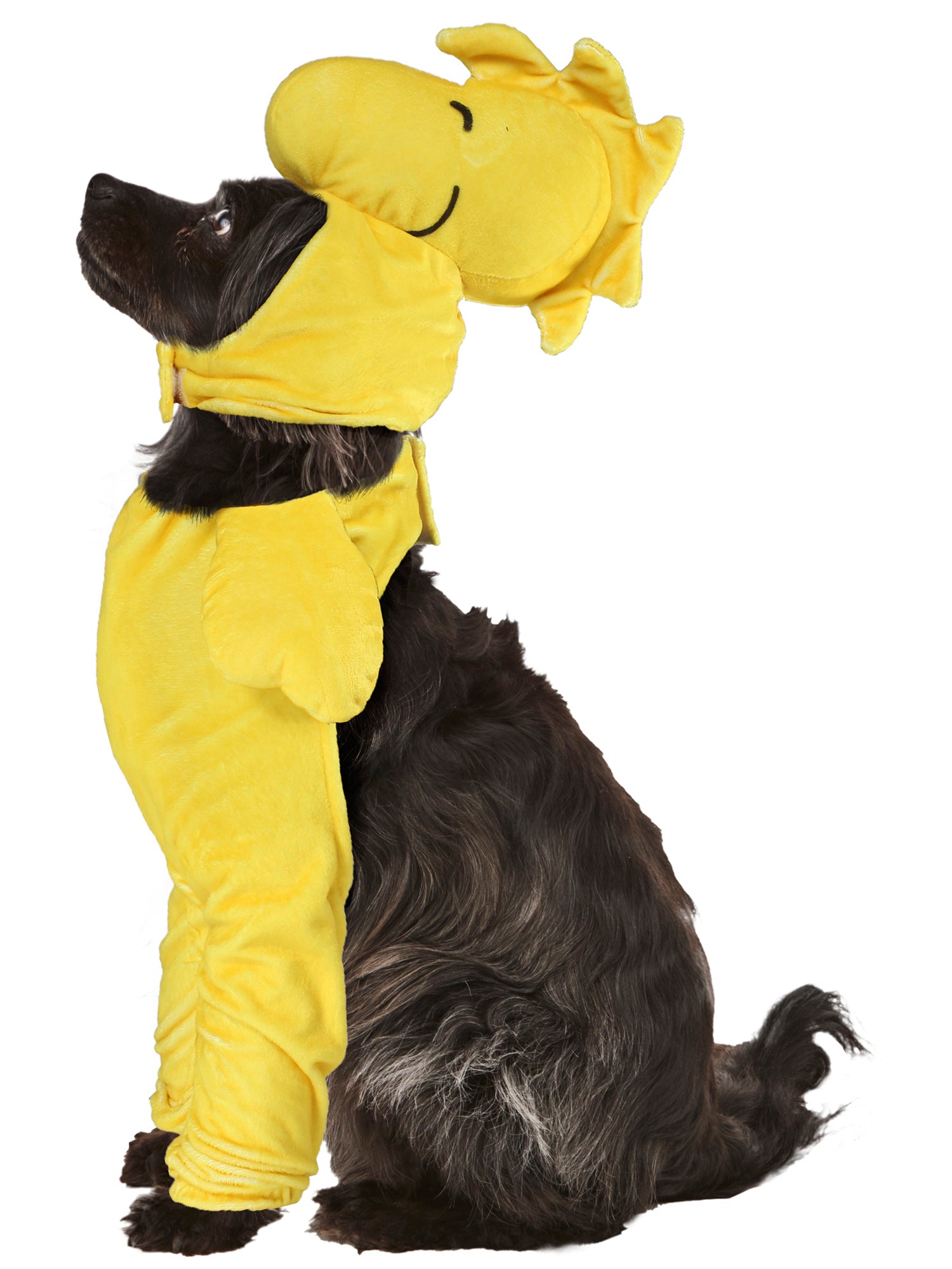 Peanuts Woodstock Walking Pet Costume - costumes.com