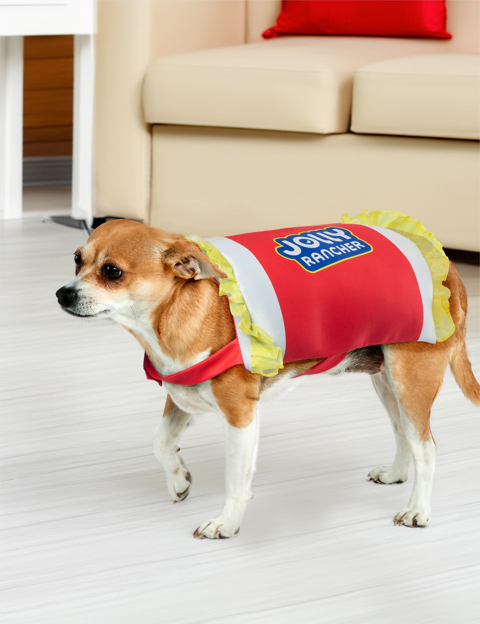 Cherry Jolly Rancher Pet Costume - costumes.com