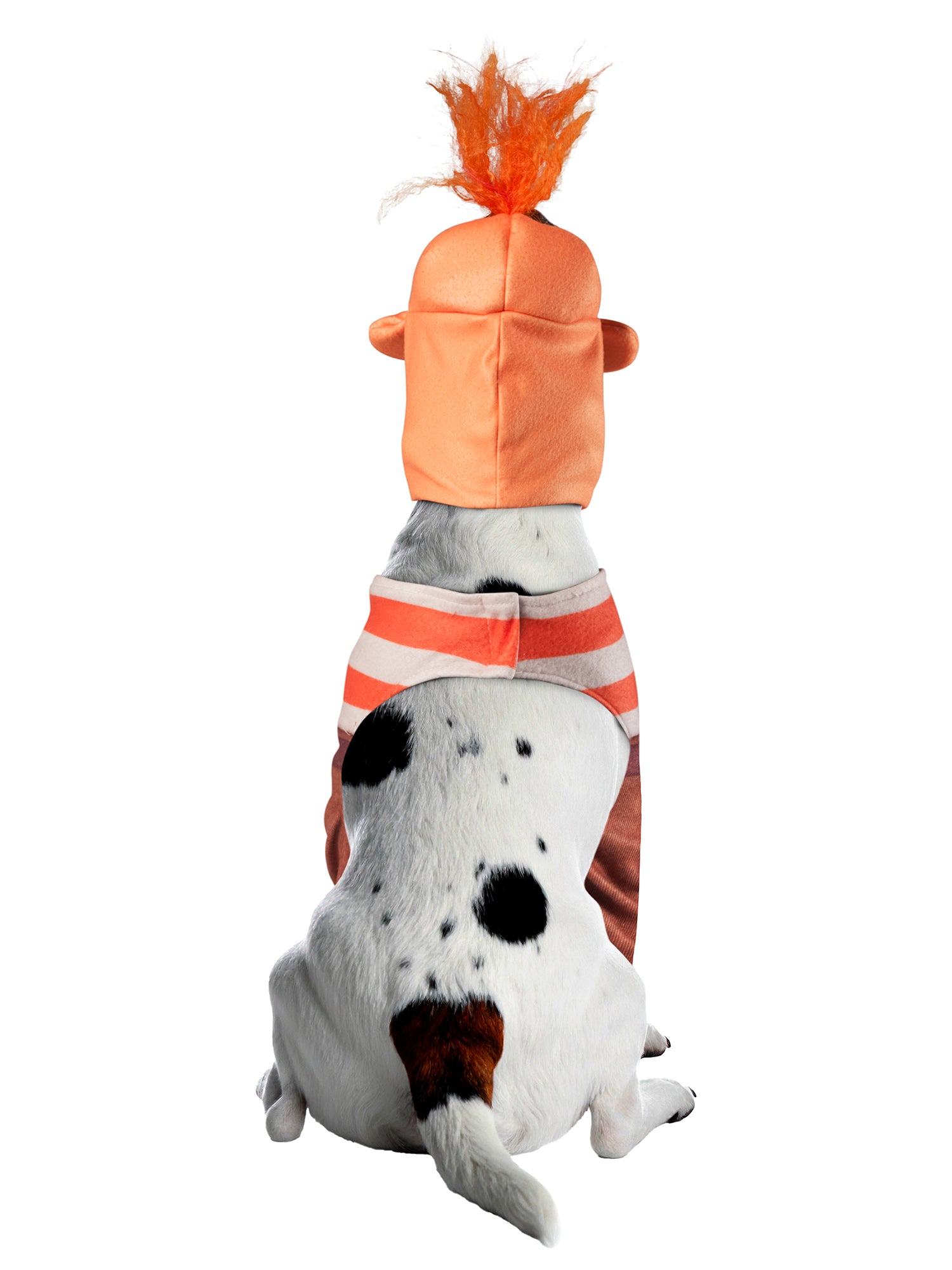Inside Out 2 Anxiety Pet Costume - costumes.com