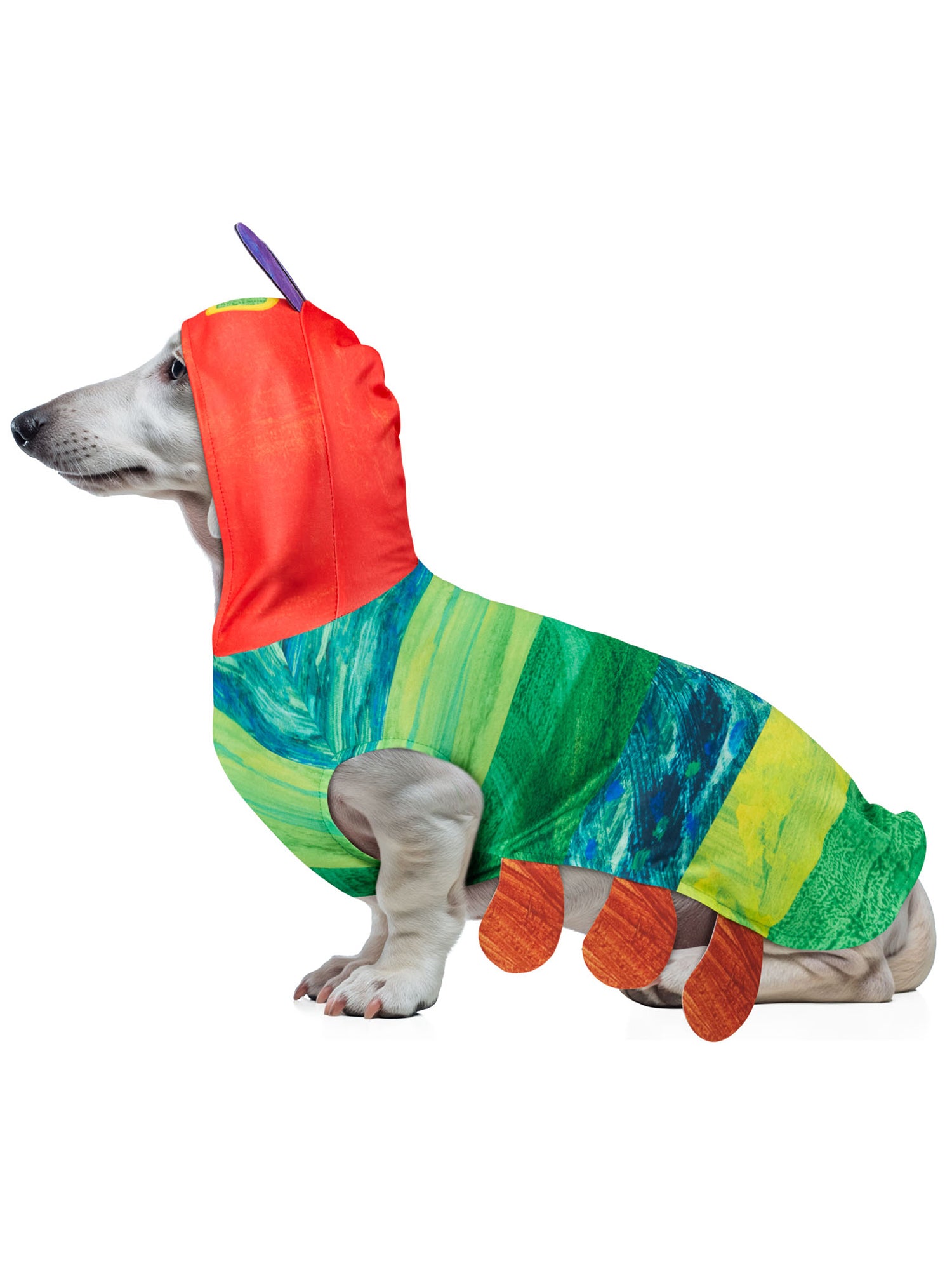 The Very Hungry Caterpillar Pet Costume - costumes.com