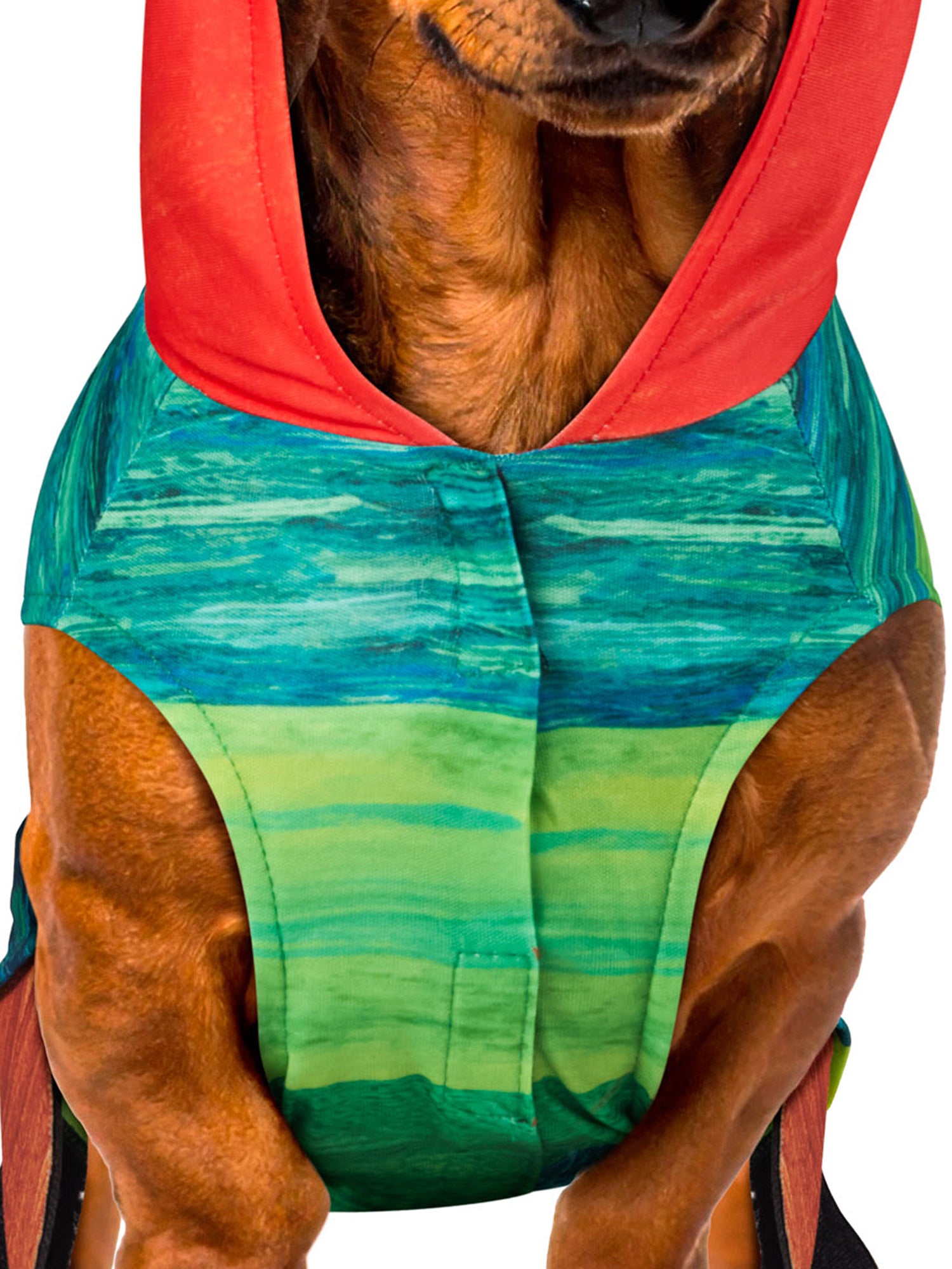 The Very Hungry Caterpillar Pet Costume - costumes.com