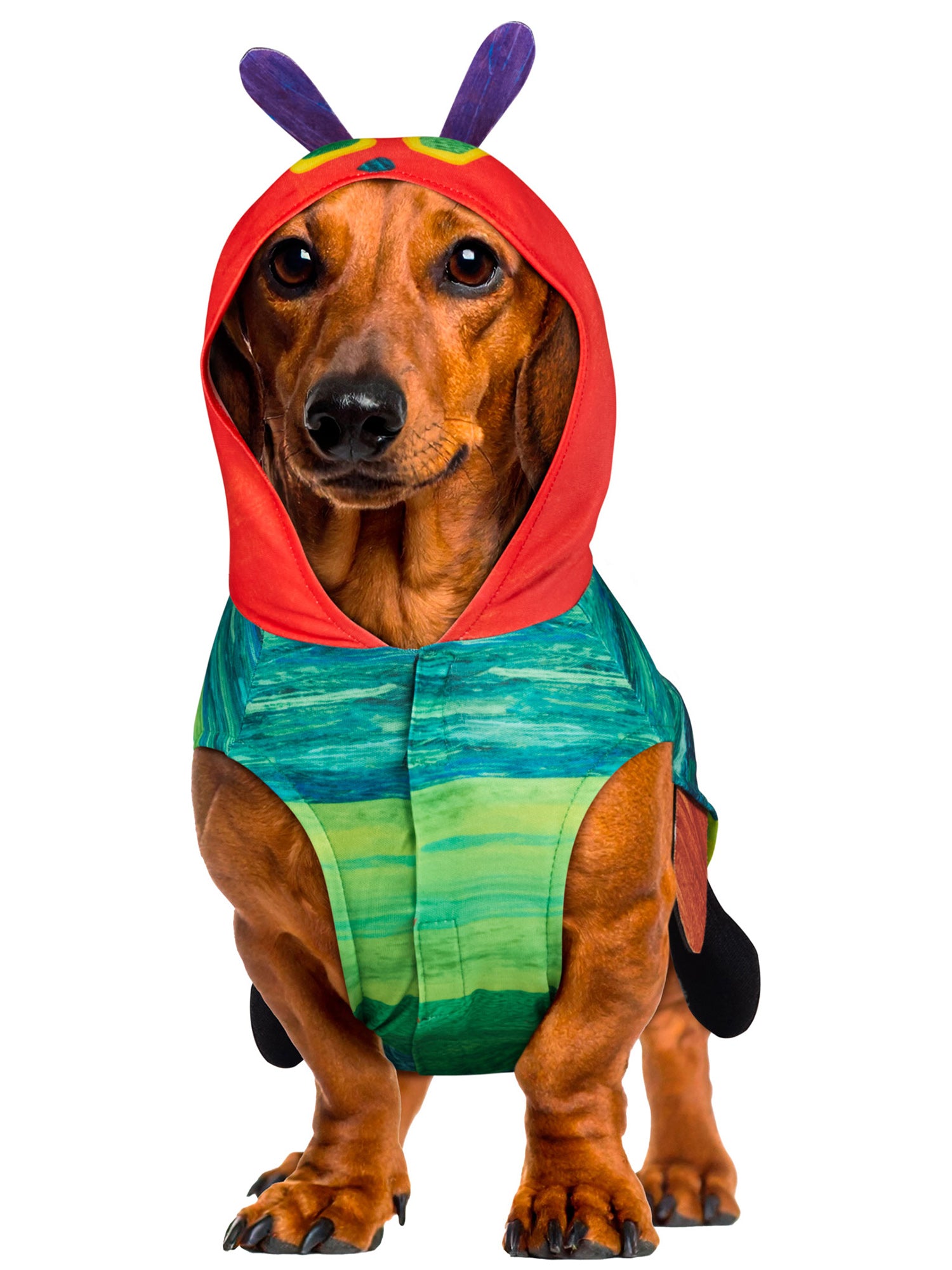 The Very Hungry Caterpillar Pet Costume - costumes.com