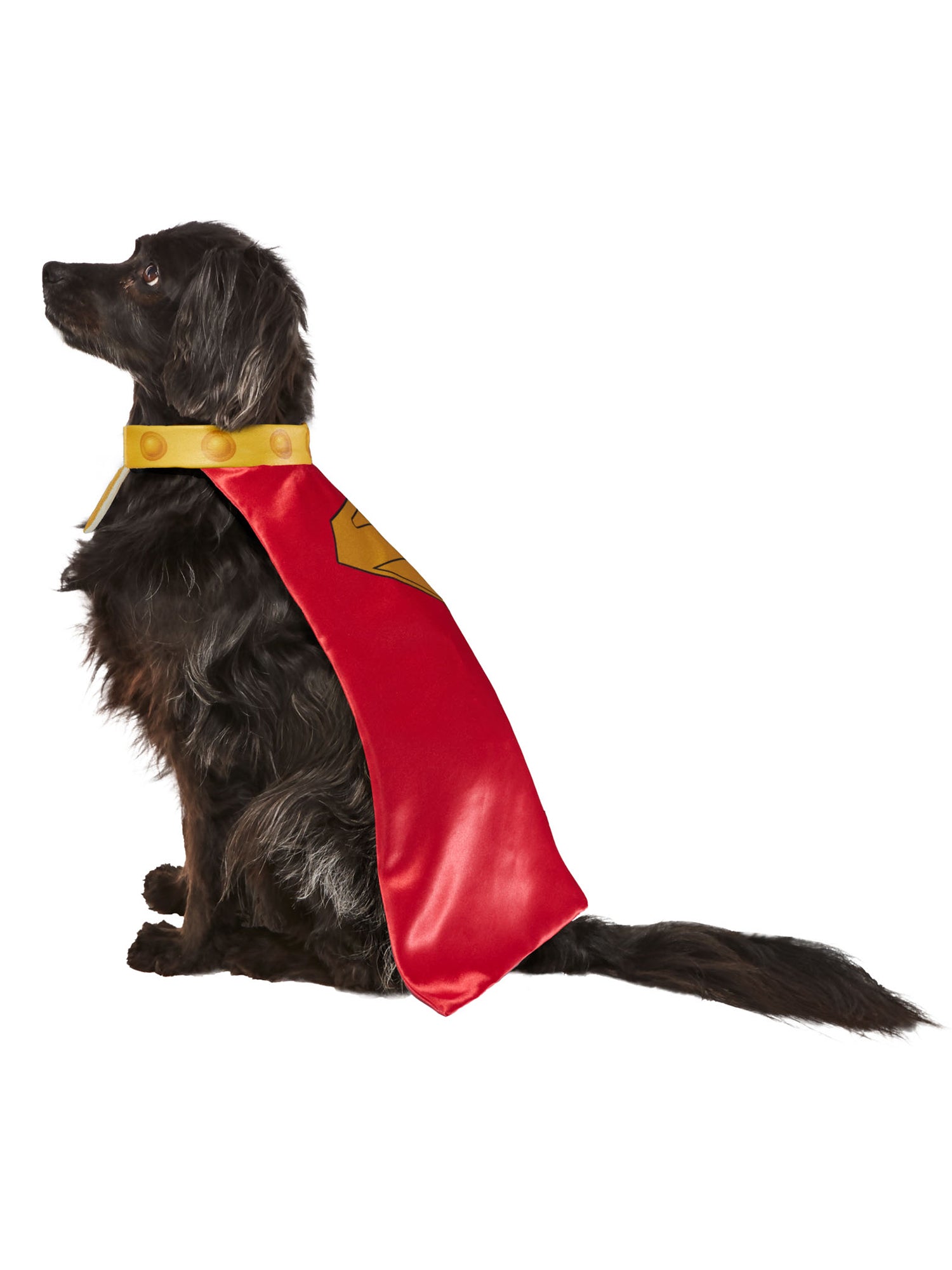 Superman Movie Krypto Pet Cape and Collar - costumes.com