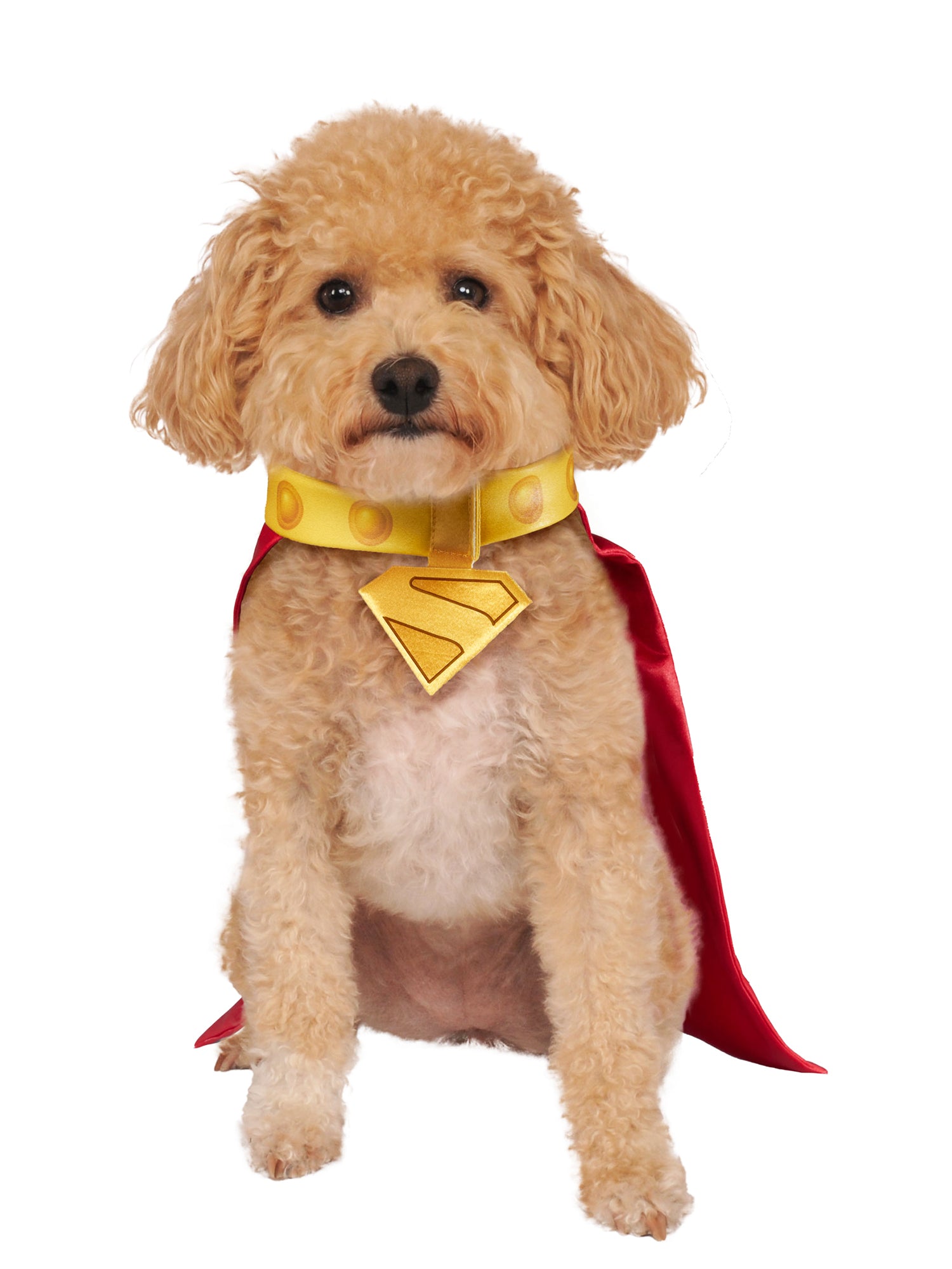 Superman Movie Krypto Pet Cape and Collar - costumes.com