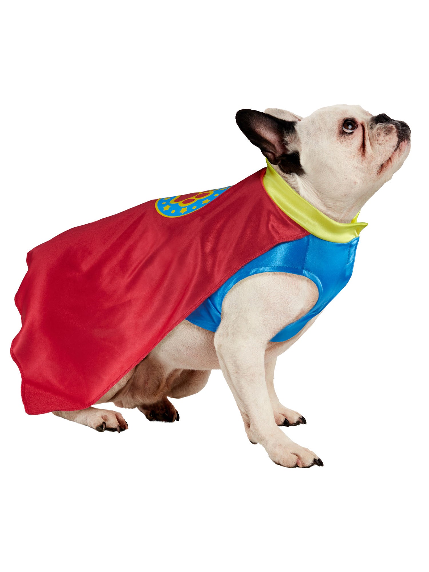 Superhero Pet Costume - costumes.com