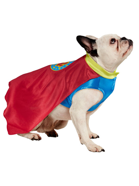 Superhero Pet Costume