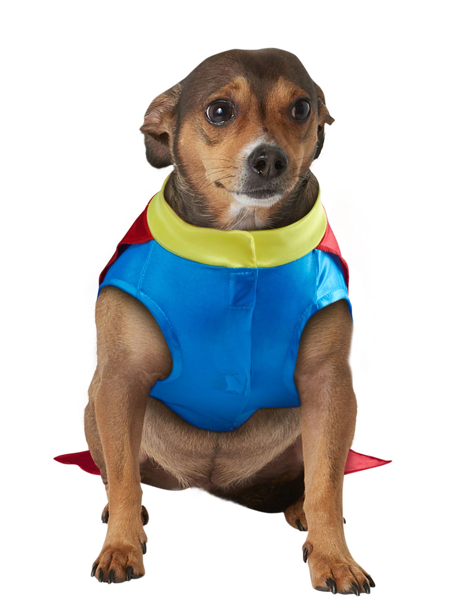Superhero Pet Costume - costumes.com