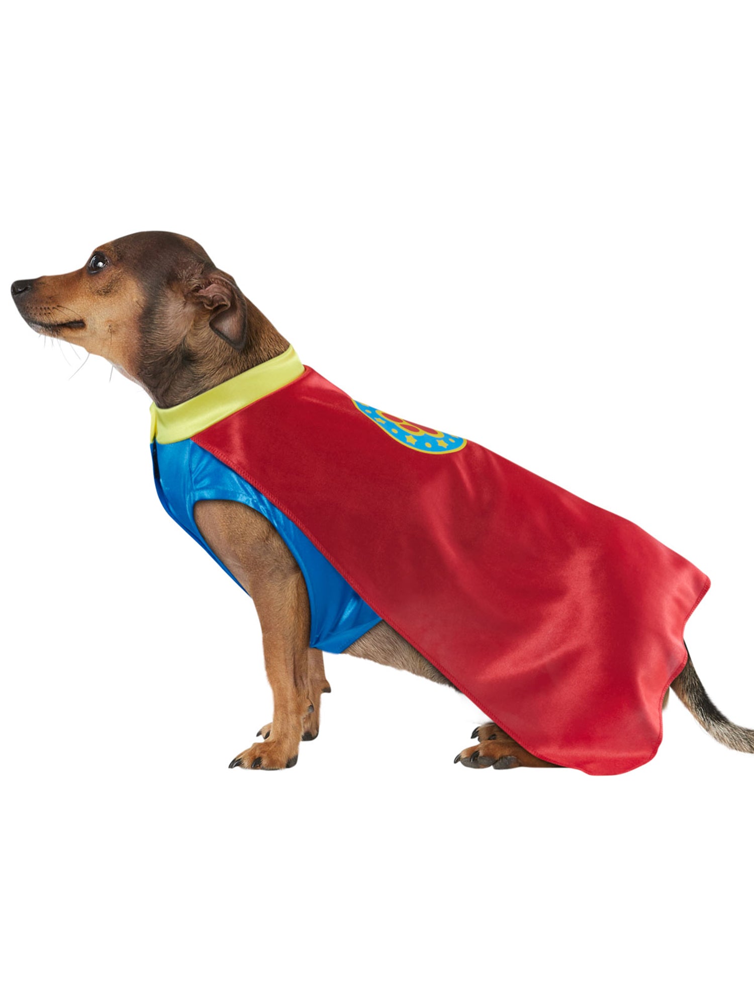 Superhero Pet Costume - costumes.com