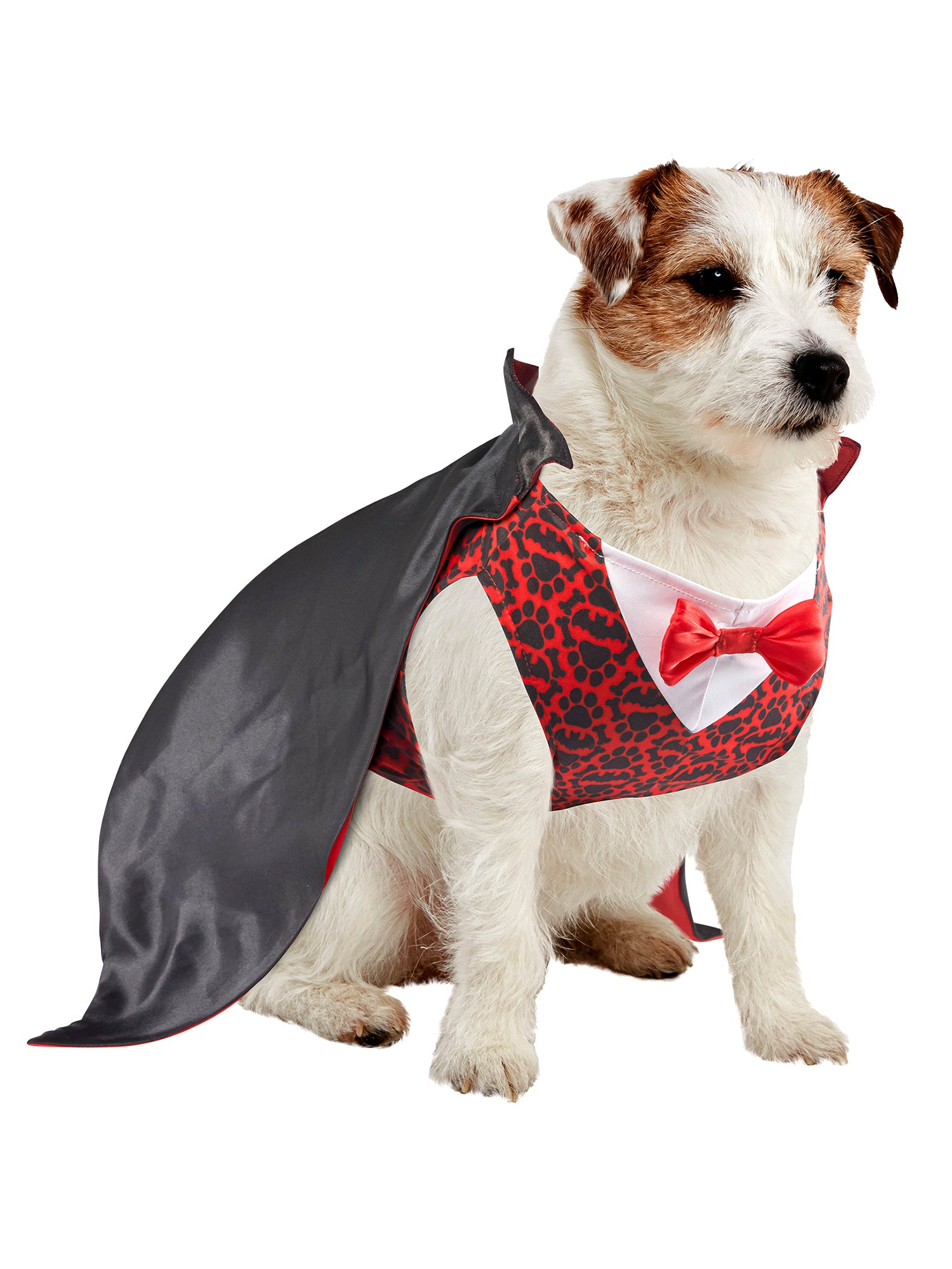 Vampire Pet Costume - costumes.com