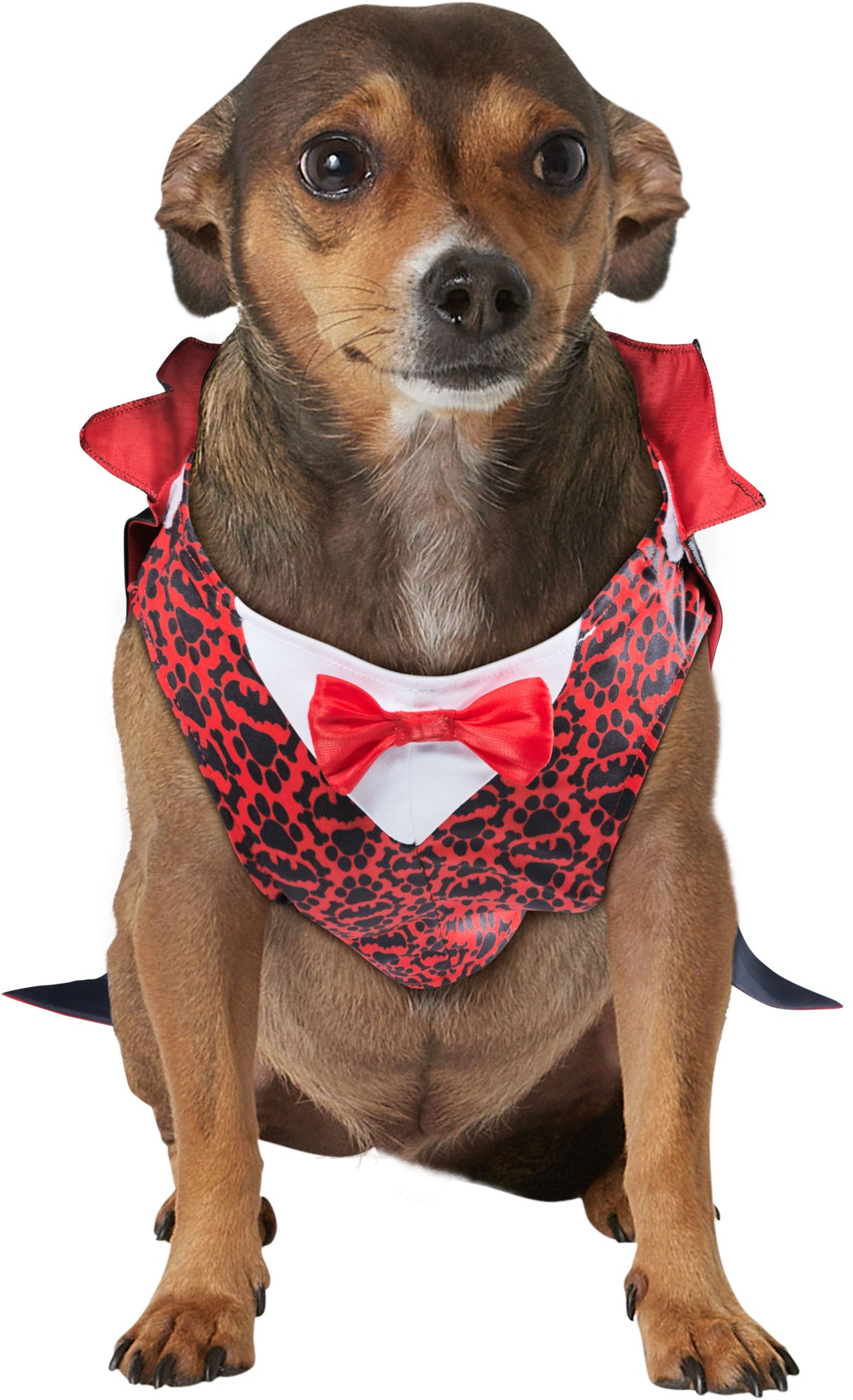 Vampire Pet Costume - costumes.com