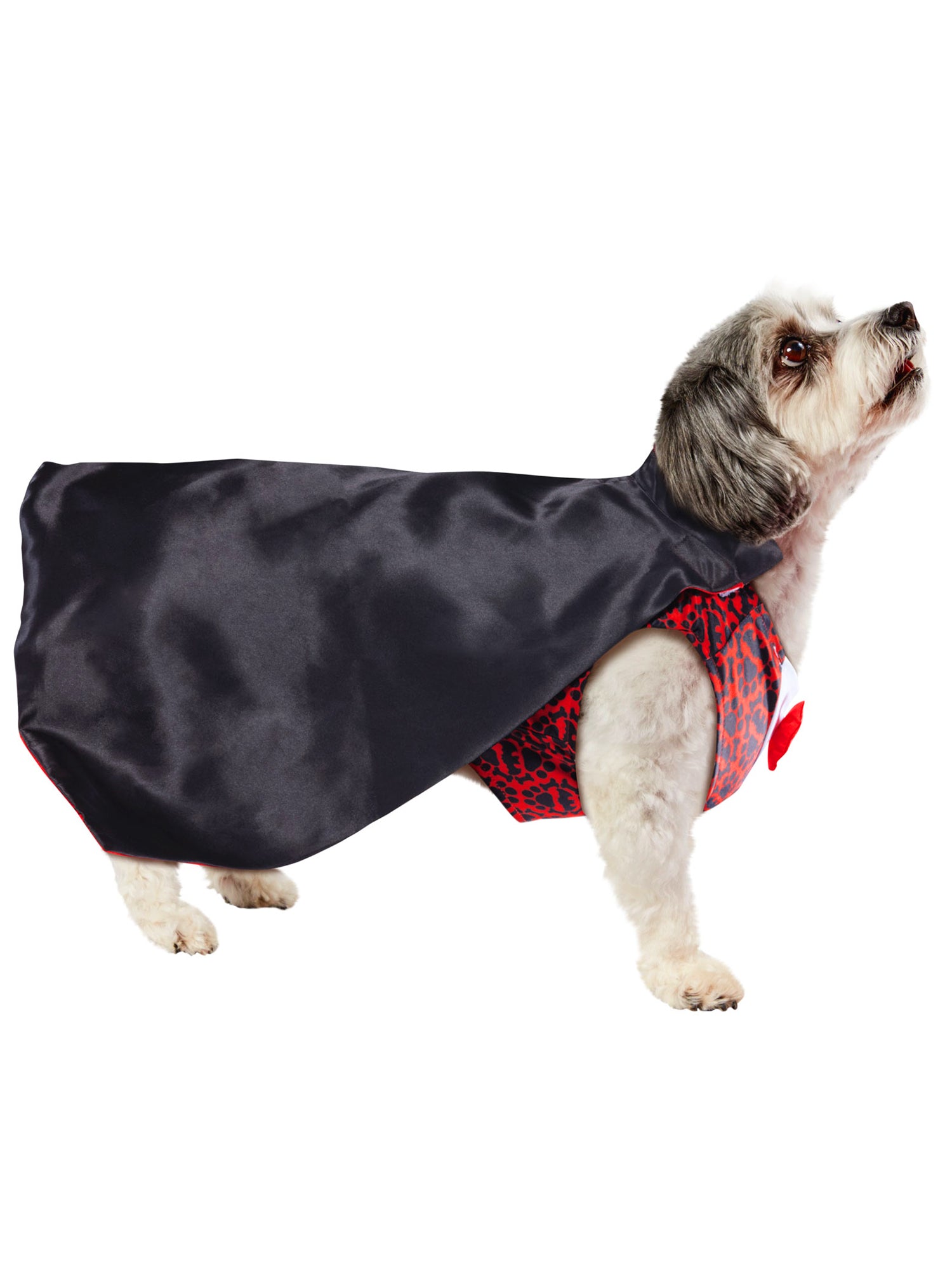 Vampire Pet Costume - costumes.com