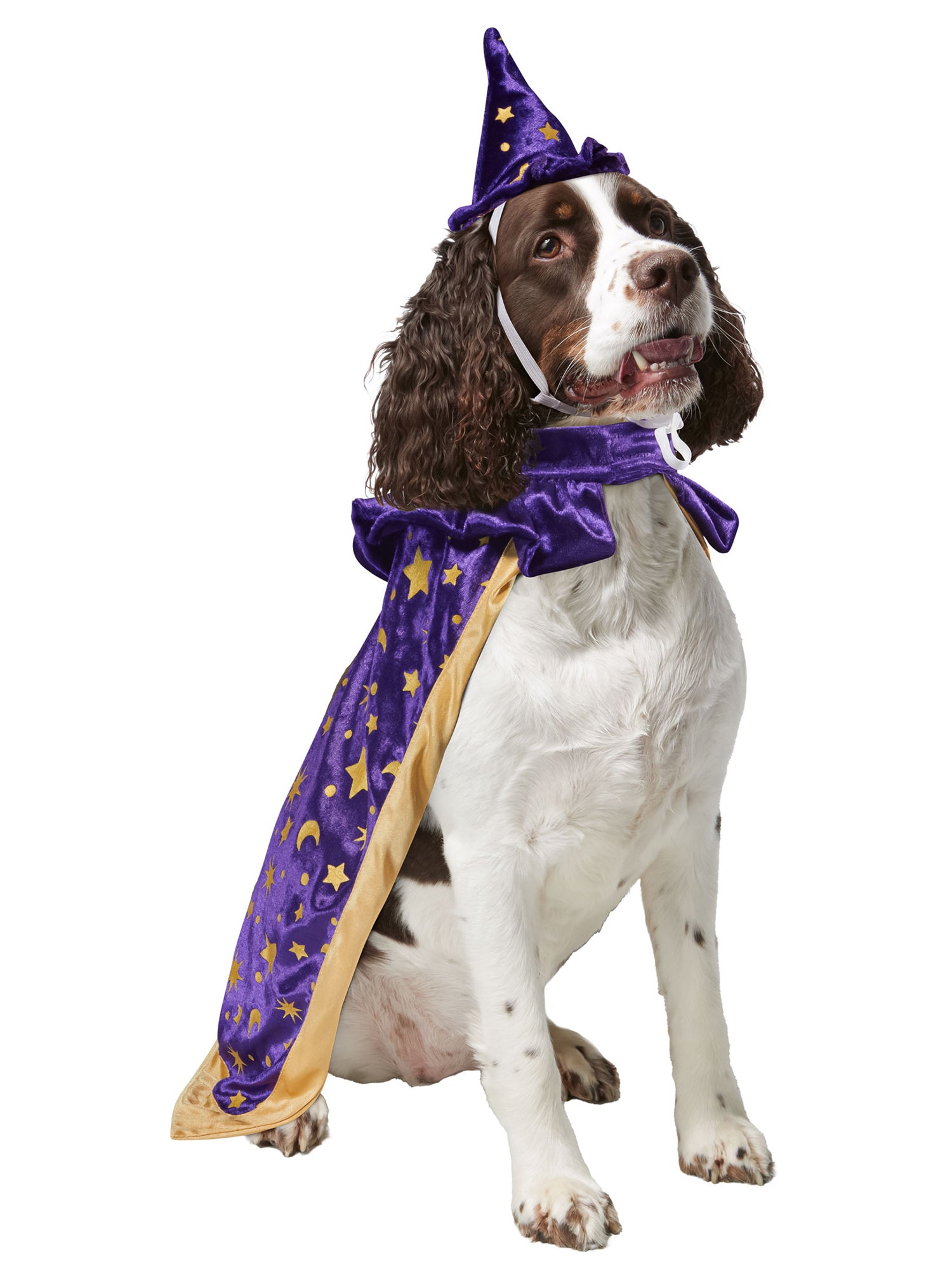 Wizard Pet Costume - costumes.com