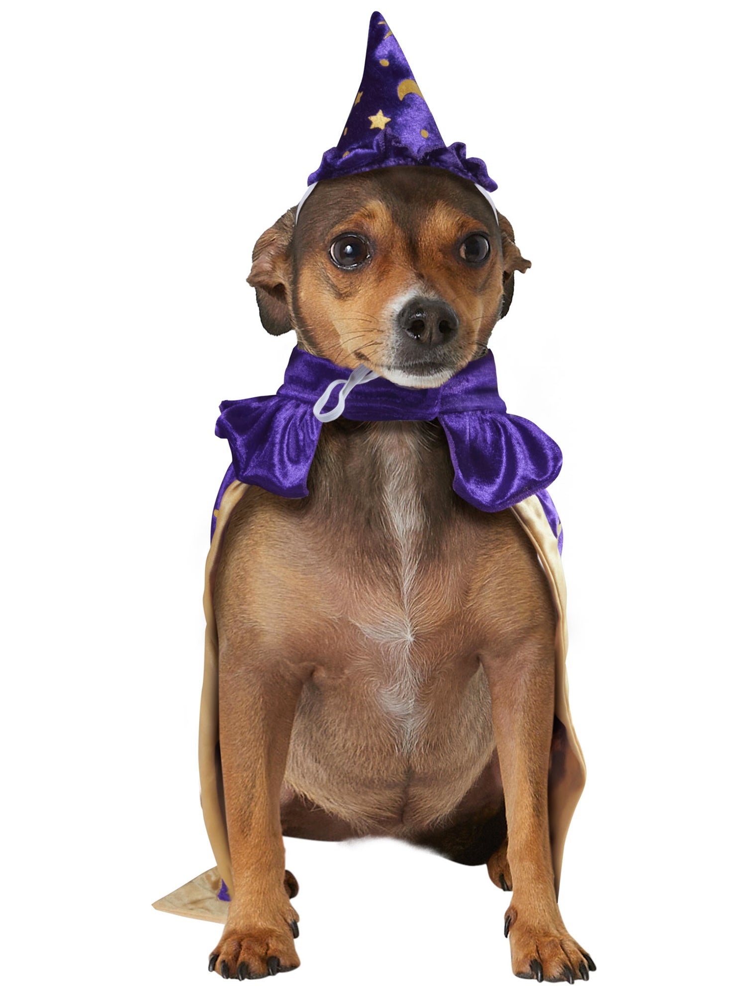 Wizard Pet Costume - costumes.com