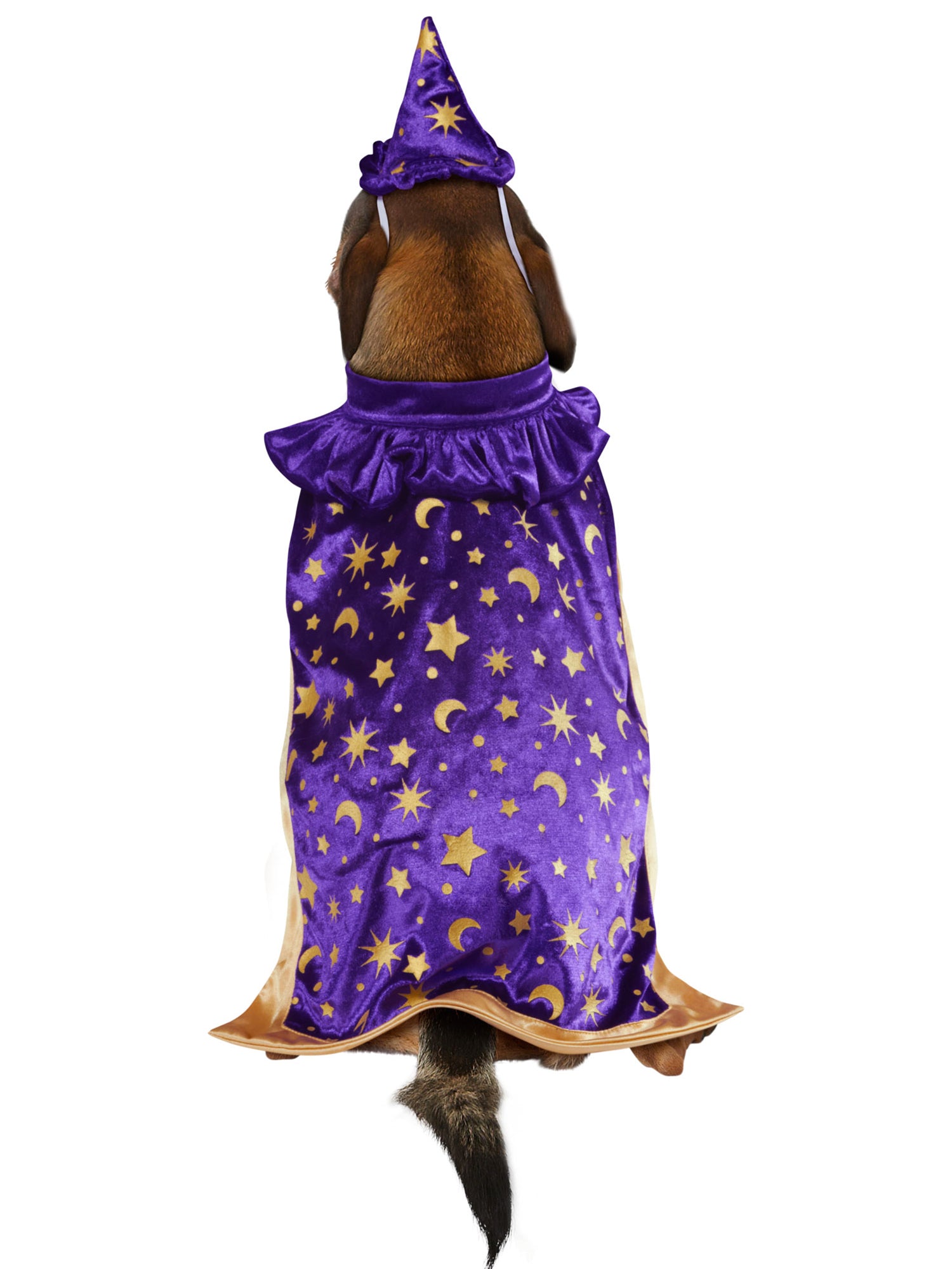 Wizard Pet Costume - costumes.com